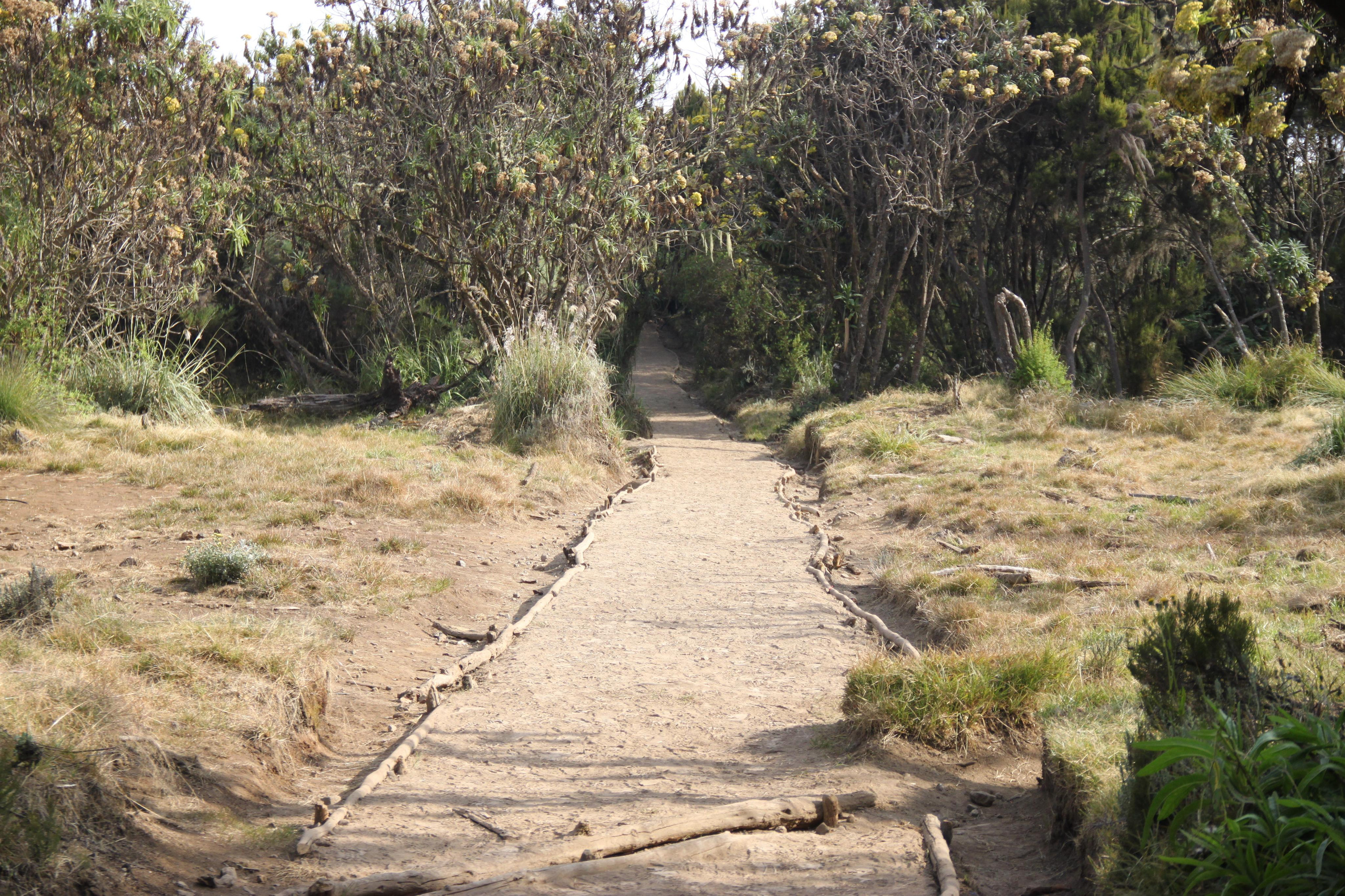 Mount Kilimanjaro. Andrey Filippov Photographer
