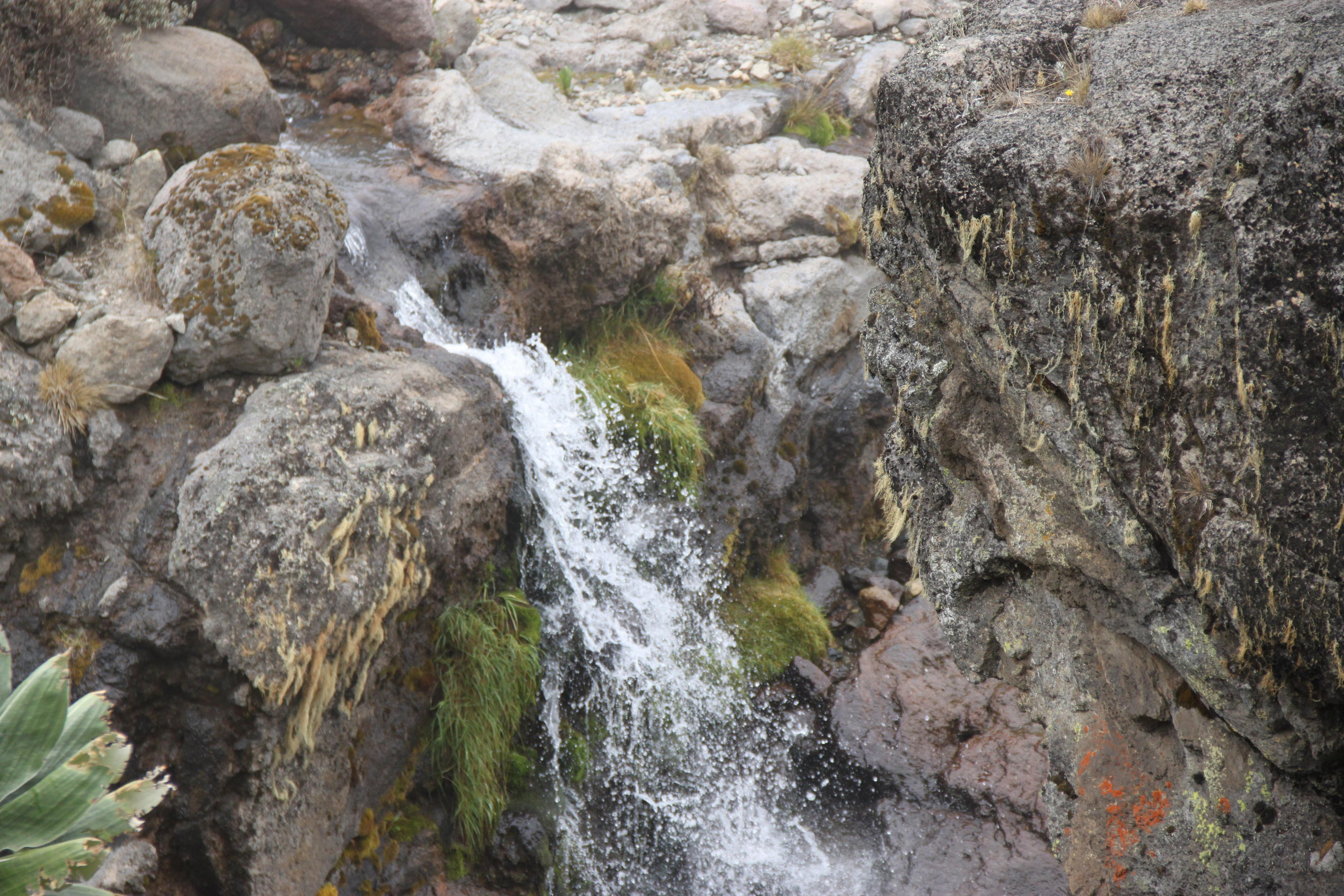 Mount Kilimanjaro. Andrey Filippov Photographer