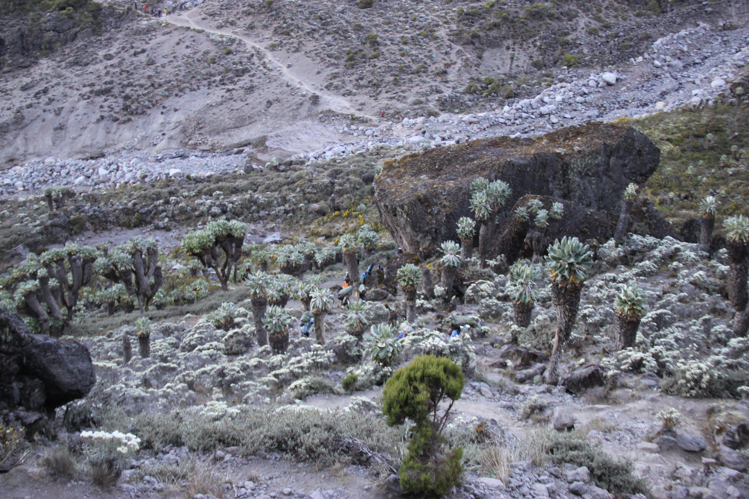 Mount Kilimanjaro. Andrey Filippov Photographer