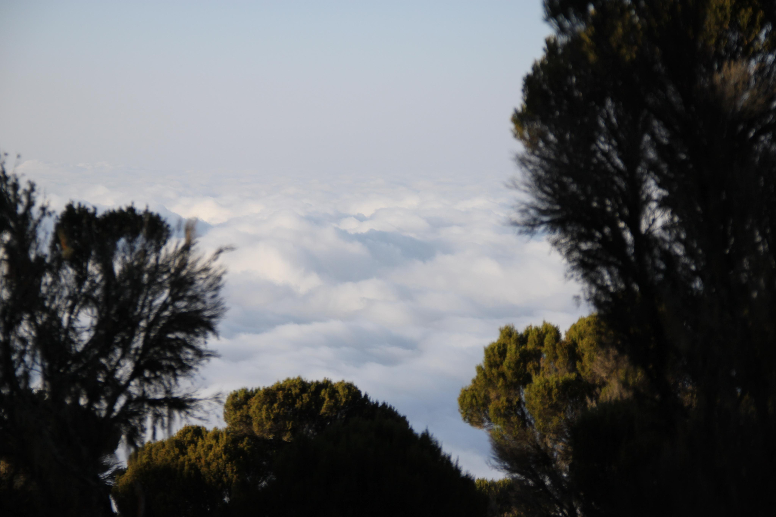 Mount Kilimanjaro. Andrey Filippov Photographer