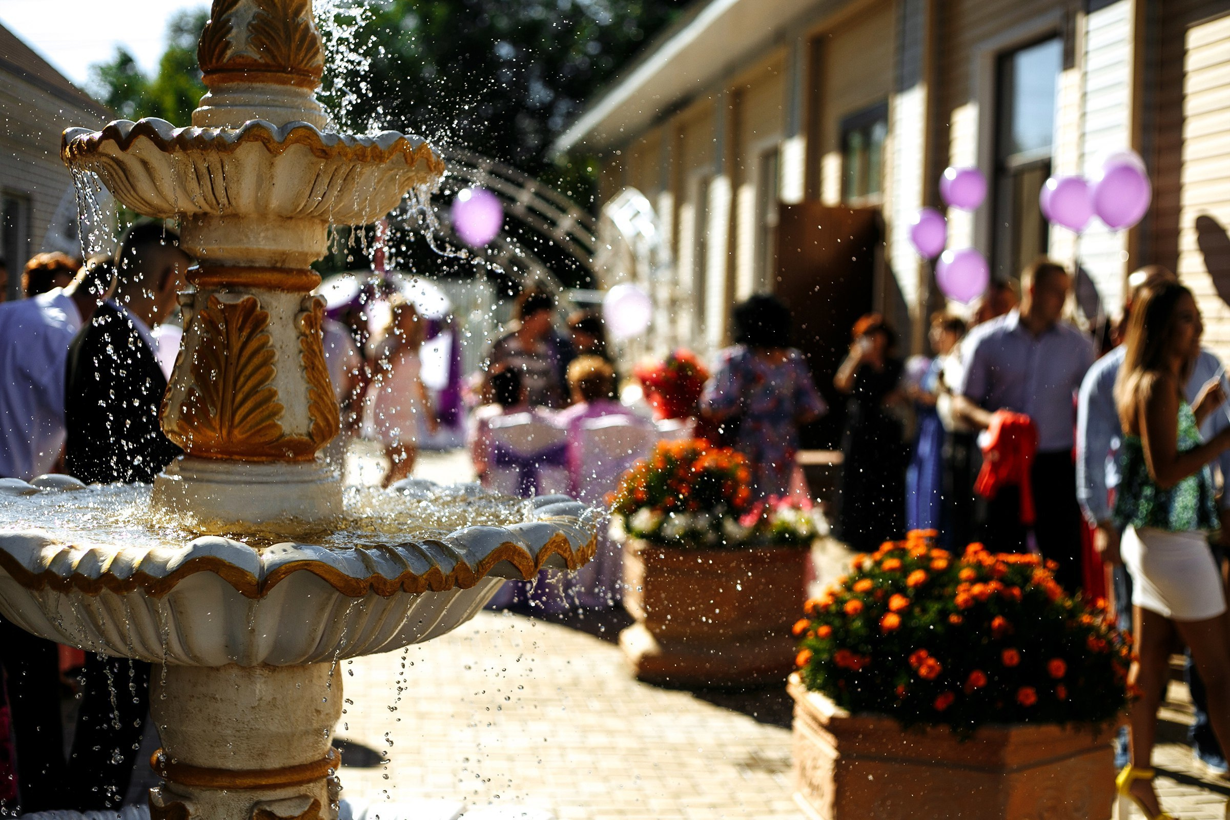 19.08.17. Свадебный и семейный фотограф Барнаул Рубцовск Бийск Алтайский край
