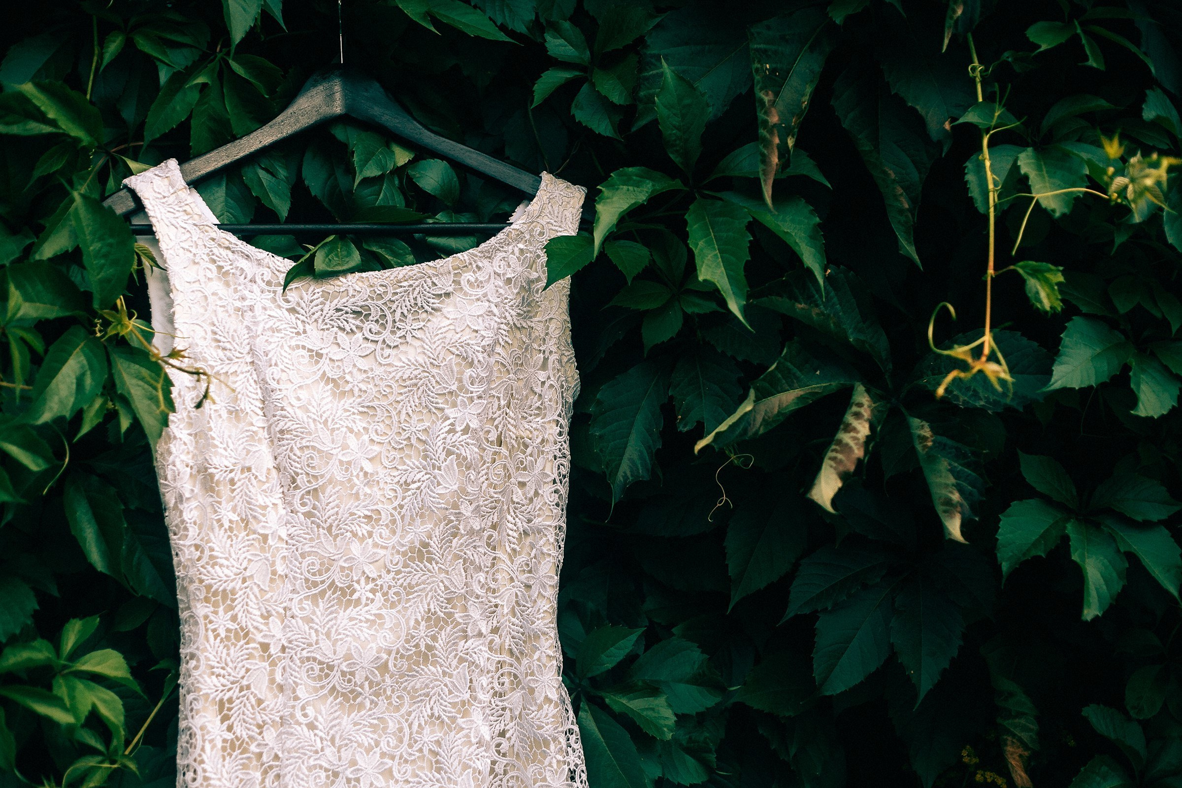 19.08.17. Свадебный и семейный фотограф Барнаул Рубцовск Бийск Алтайский край
