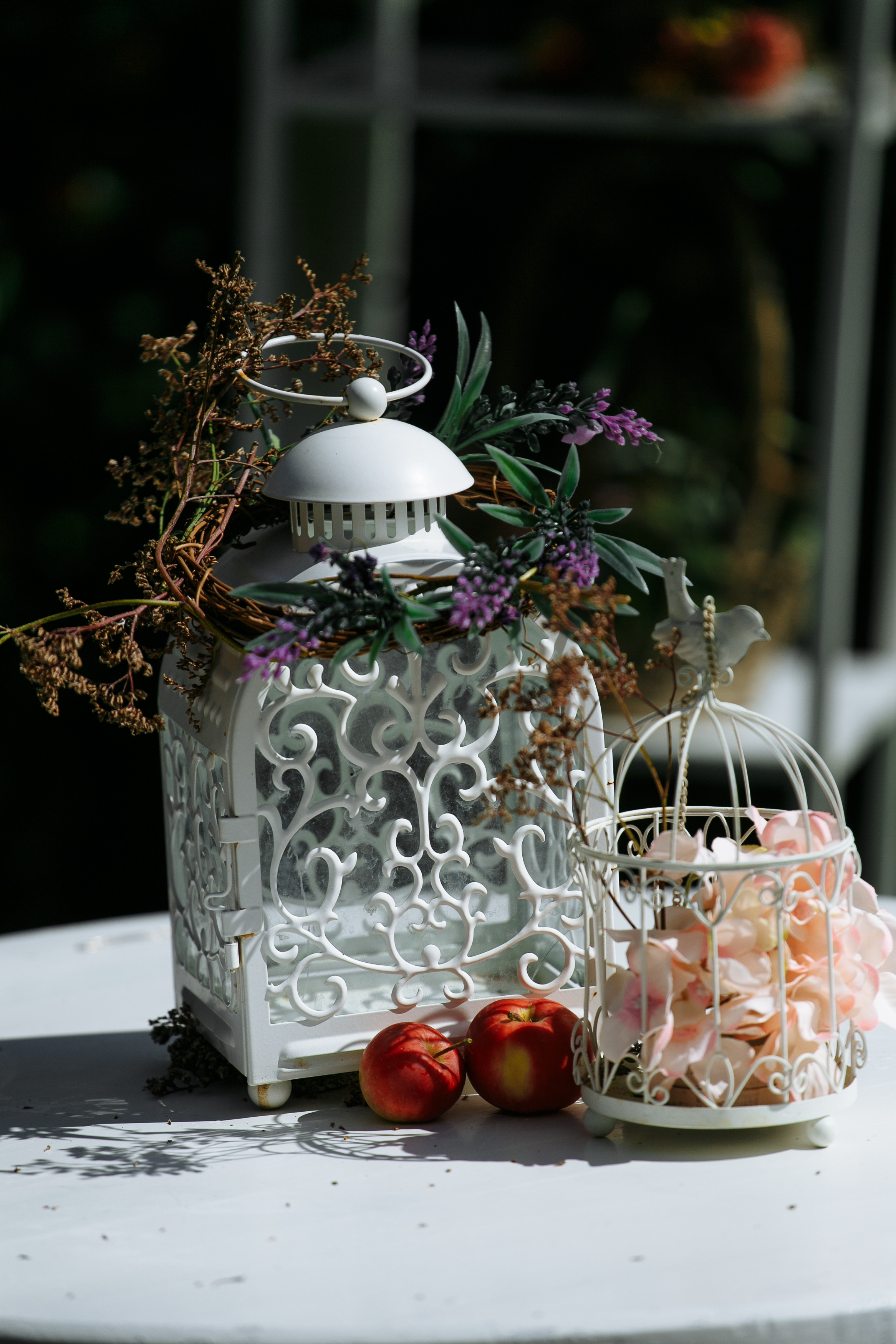 Андрей и Аня. Свадебный и семейный фотограф Барнаул Рубцовск Бийск Алтайский край