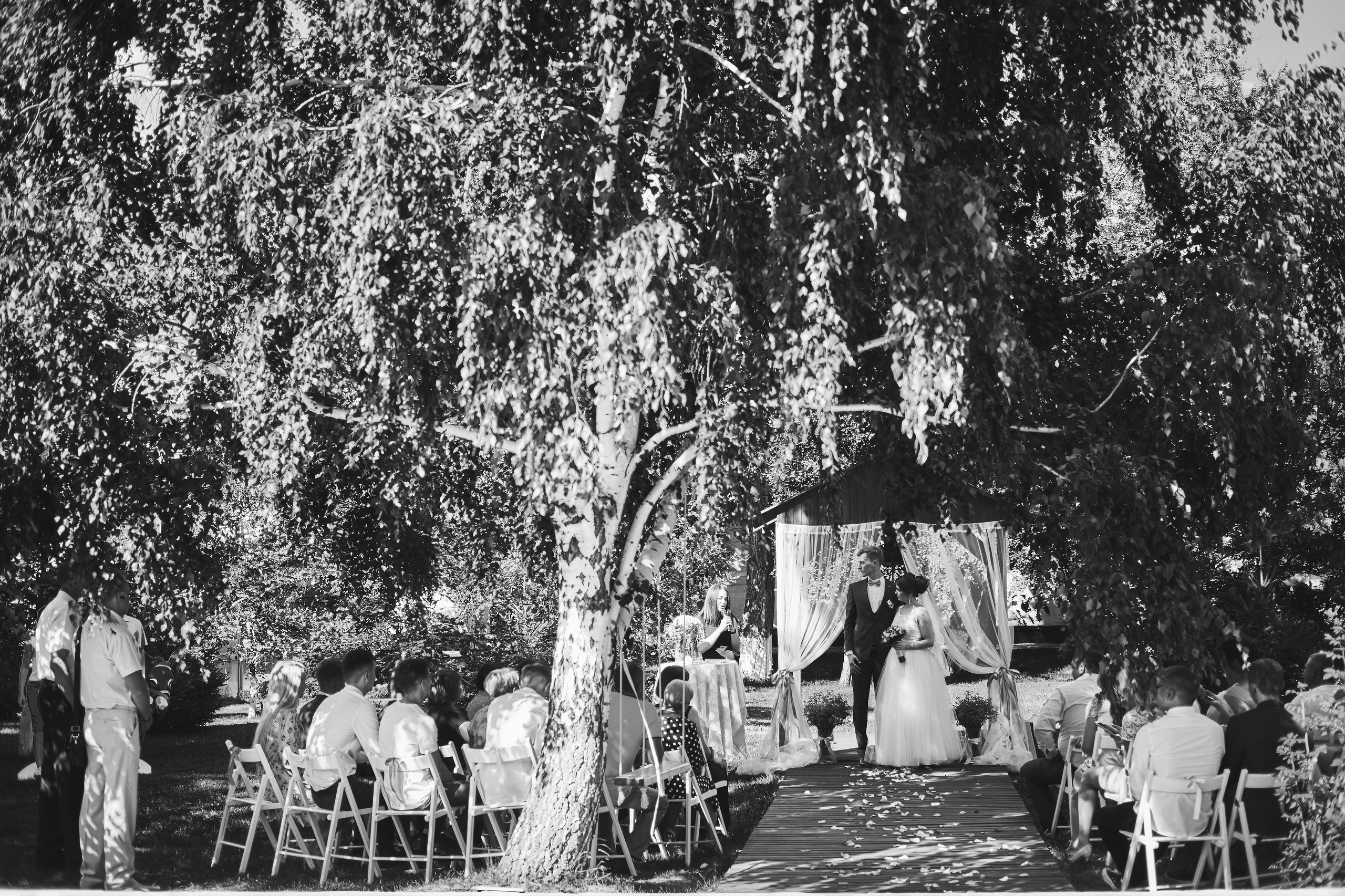 18.08. Свадебный и семейный фотограф Барнаул Рубцовск Бийск Алтайский край