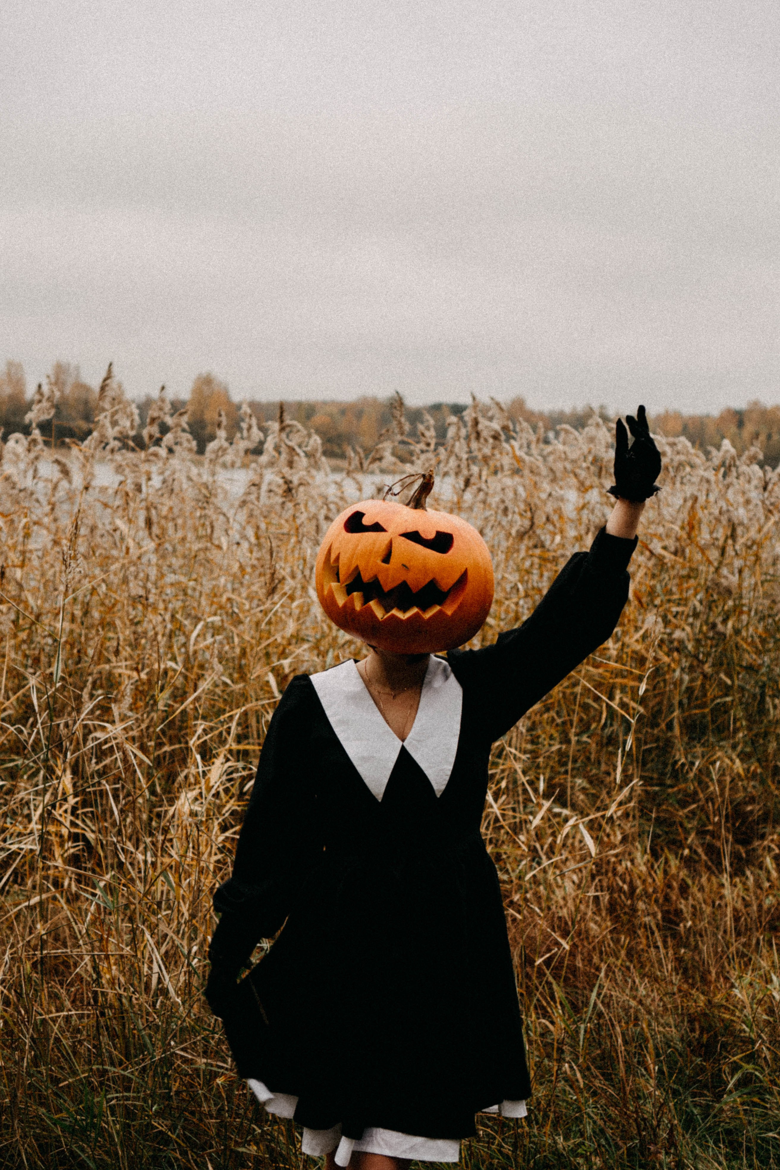 Осеняя. Профессиональный фотограф, Санкт-Петербург — Виктория Богомолова
