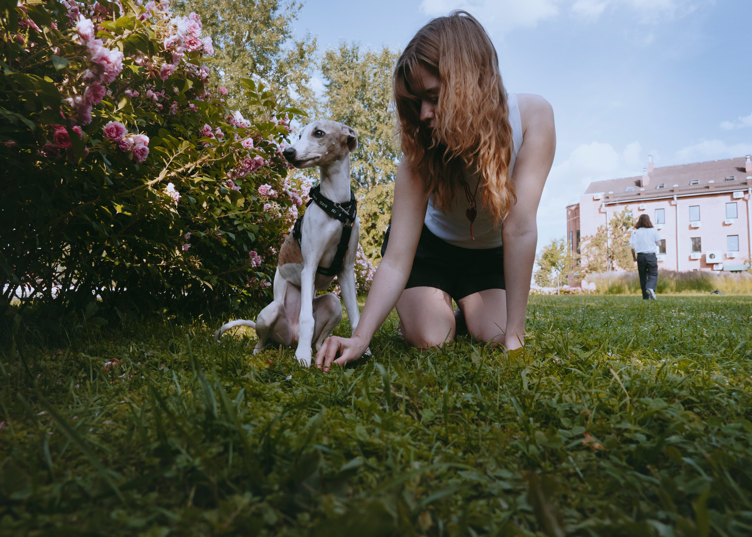 Ветка. Фотограф- анималист Александра Матвеева
