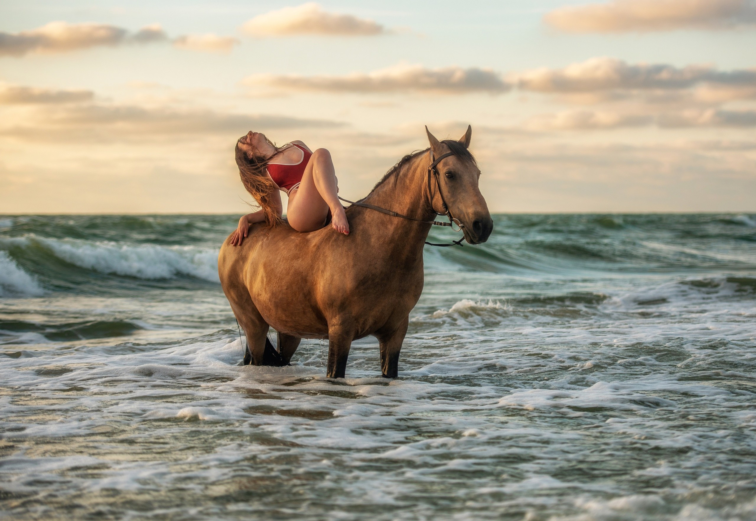 Побережье Балтийского моря. Фотограф с лошадьми в Калининграде Татьяна Ларина