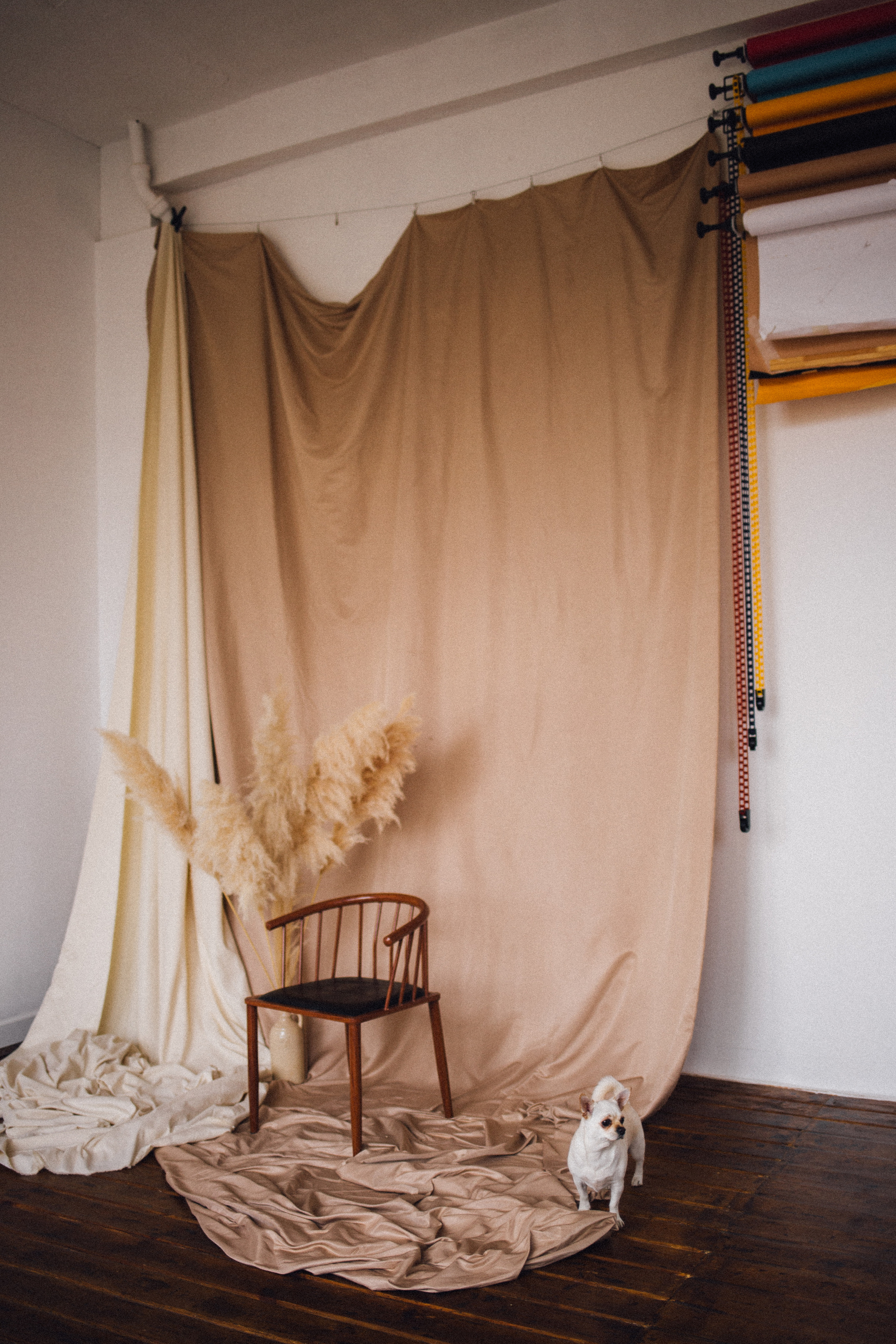 Миша, Даша и Бося. Фотограф в Волгограде Карина Хлебушкина