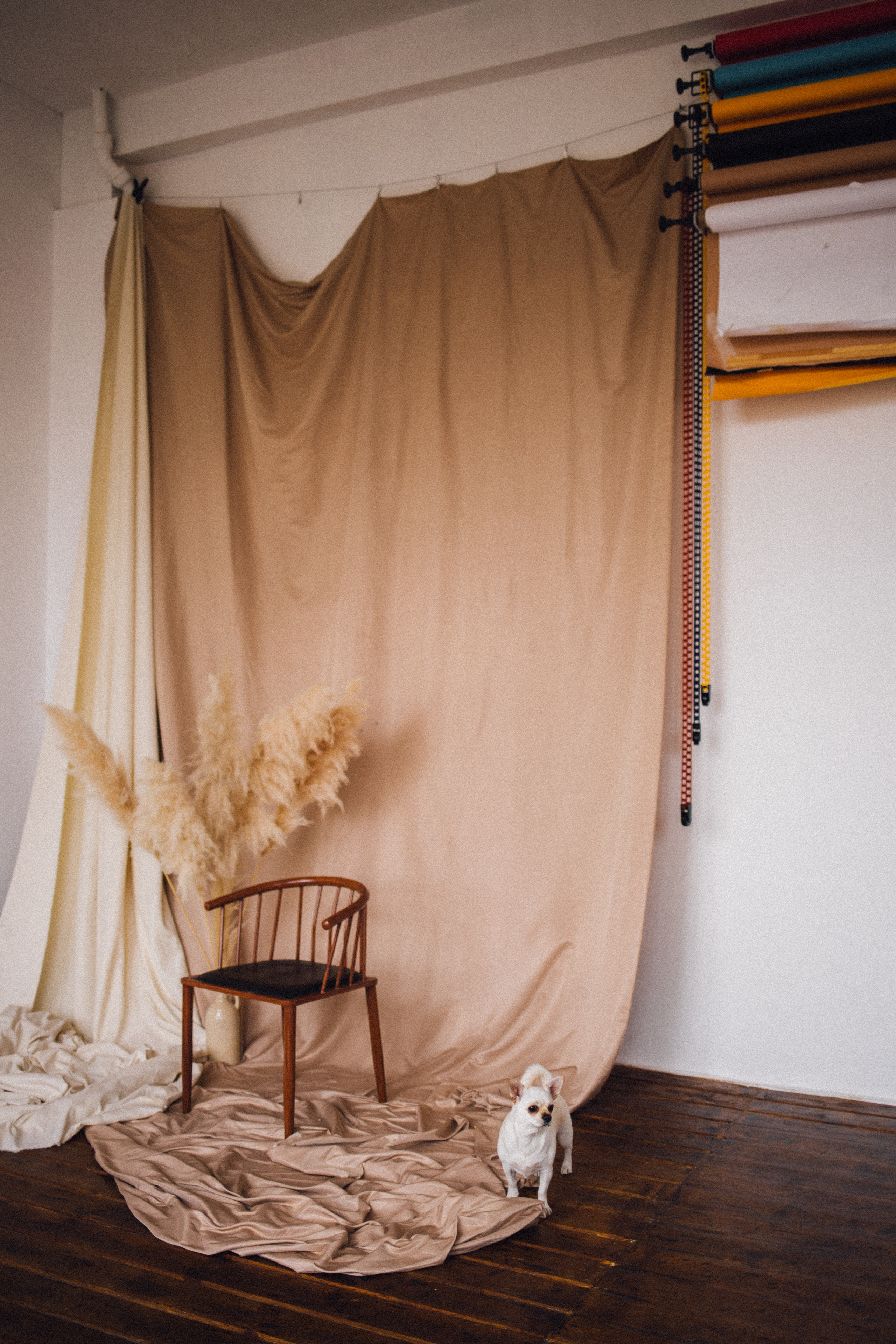 Миша, Даша и Бося. Фотограф в Волгограде Карина Хлебушкина