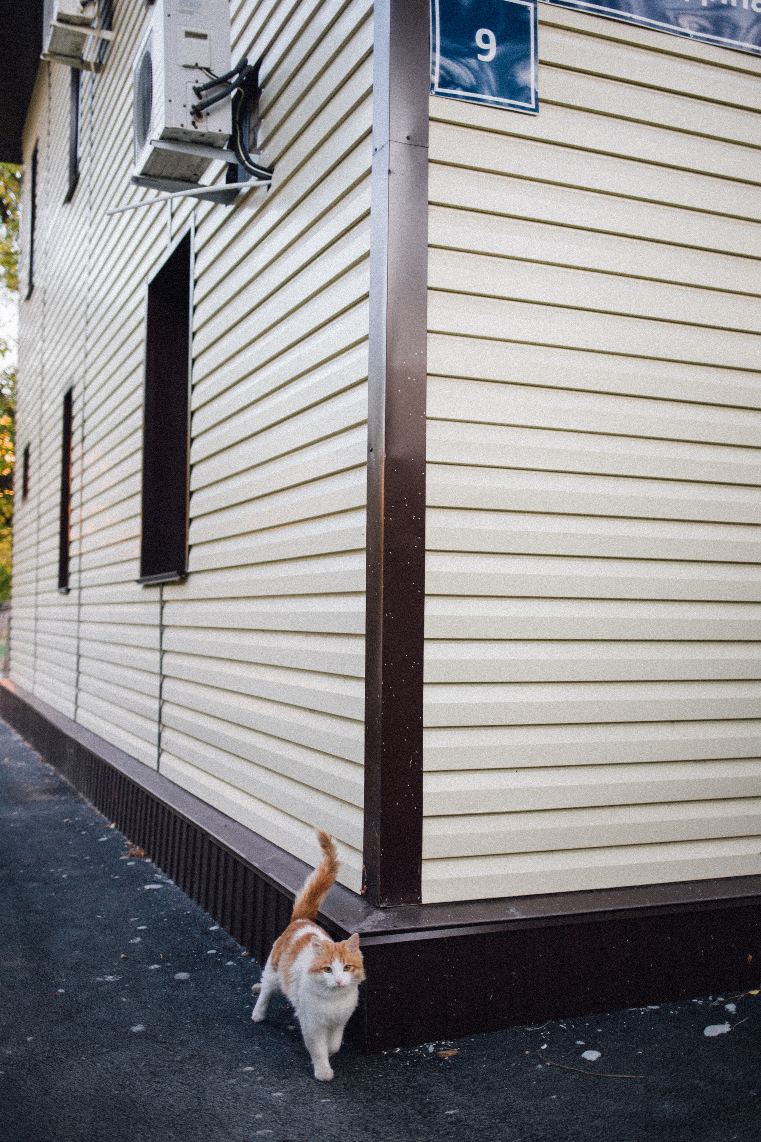 Оксана. Фотограф в Волгограде Карина Хлебушкина