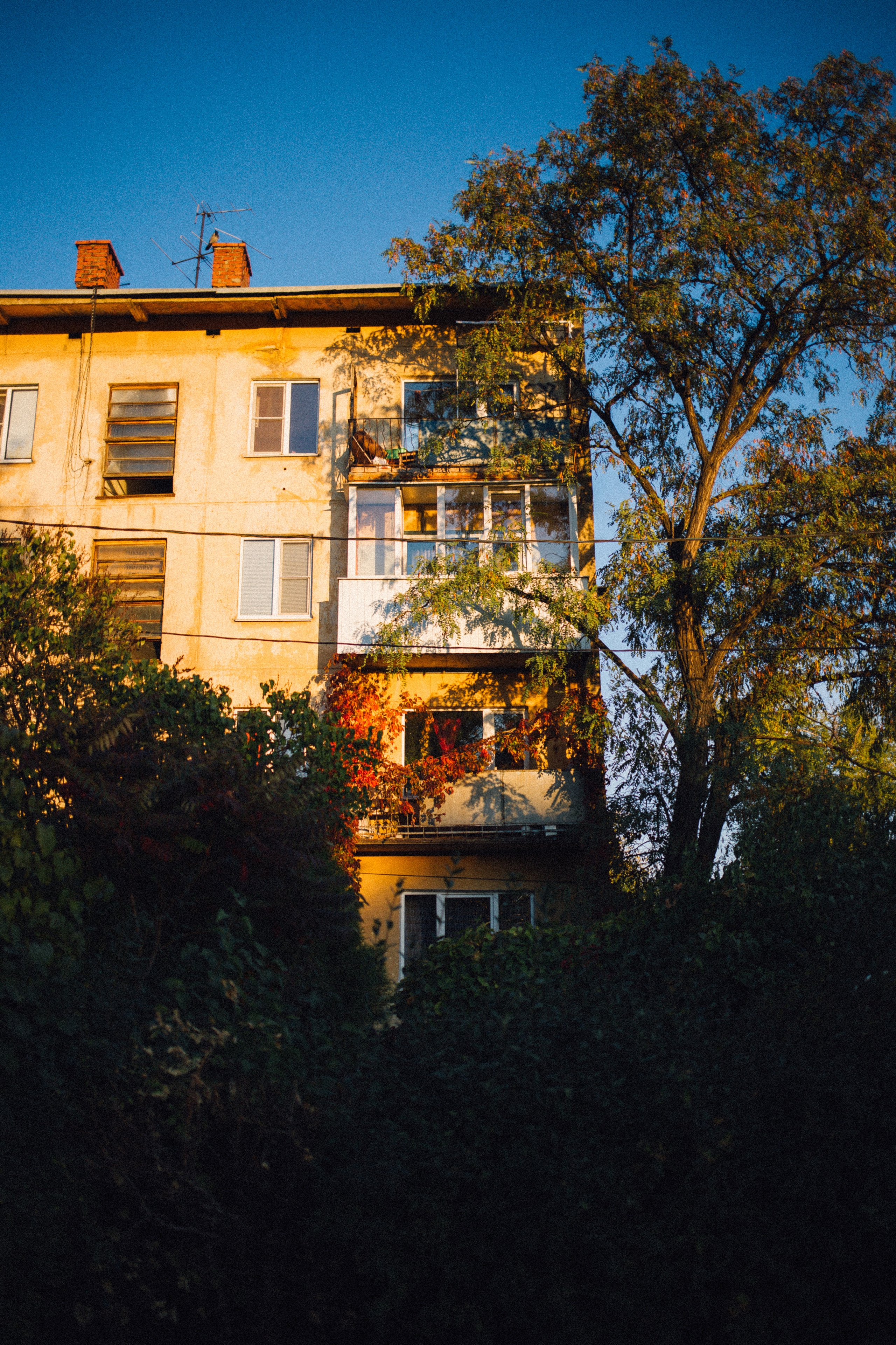 Оксана. Фотограф в Волгограде Карина Хлебушкина