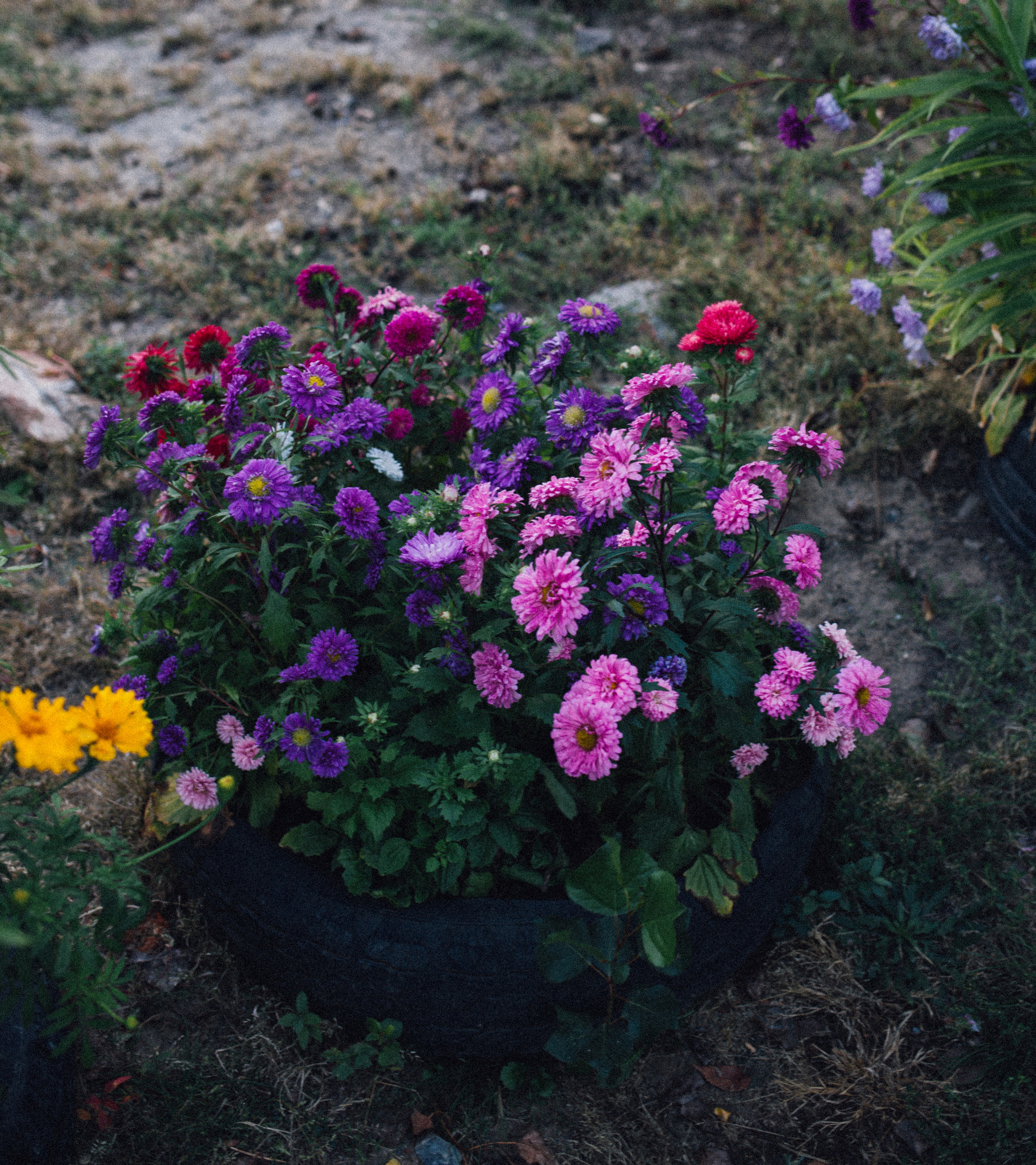 Оксана. Фотограф в Волгограде Карина Хлебушкина