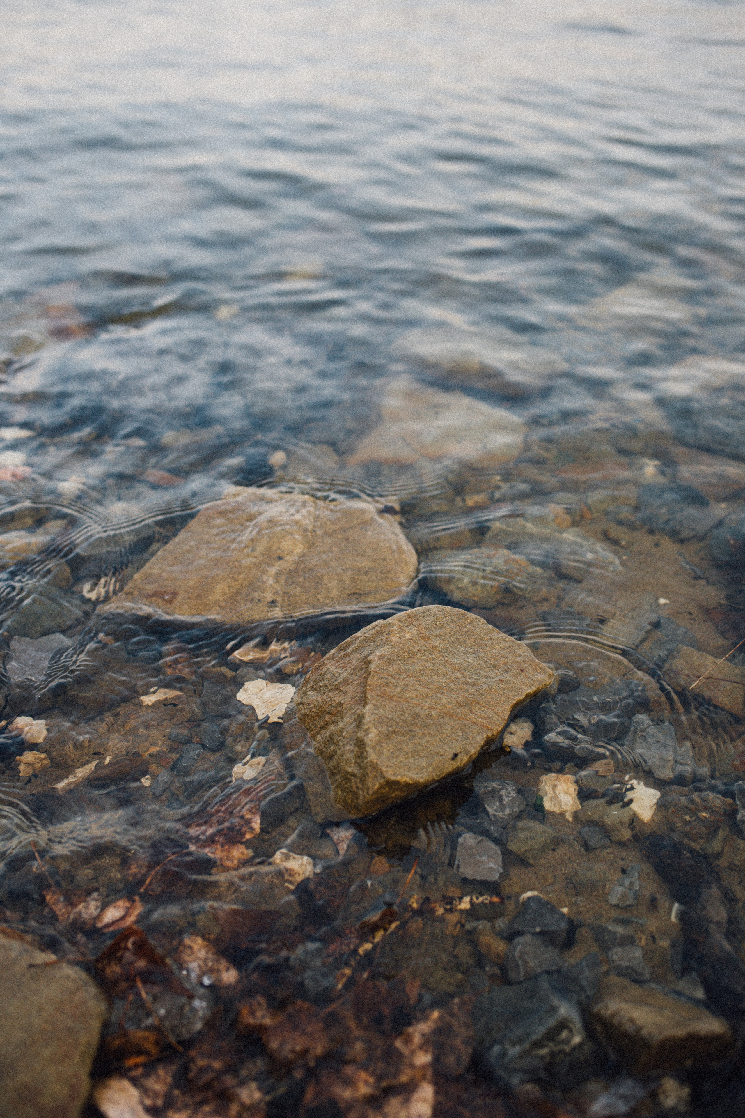 Лера. Фотограф в Волгограде Карина Хлебушкина