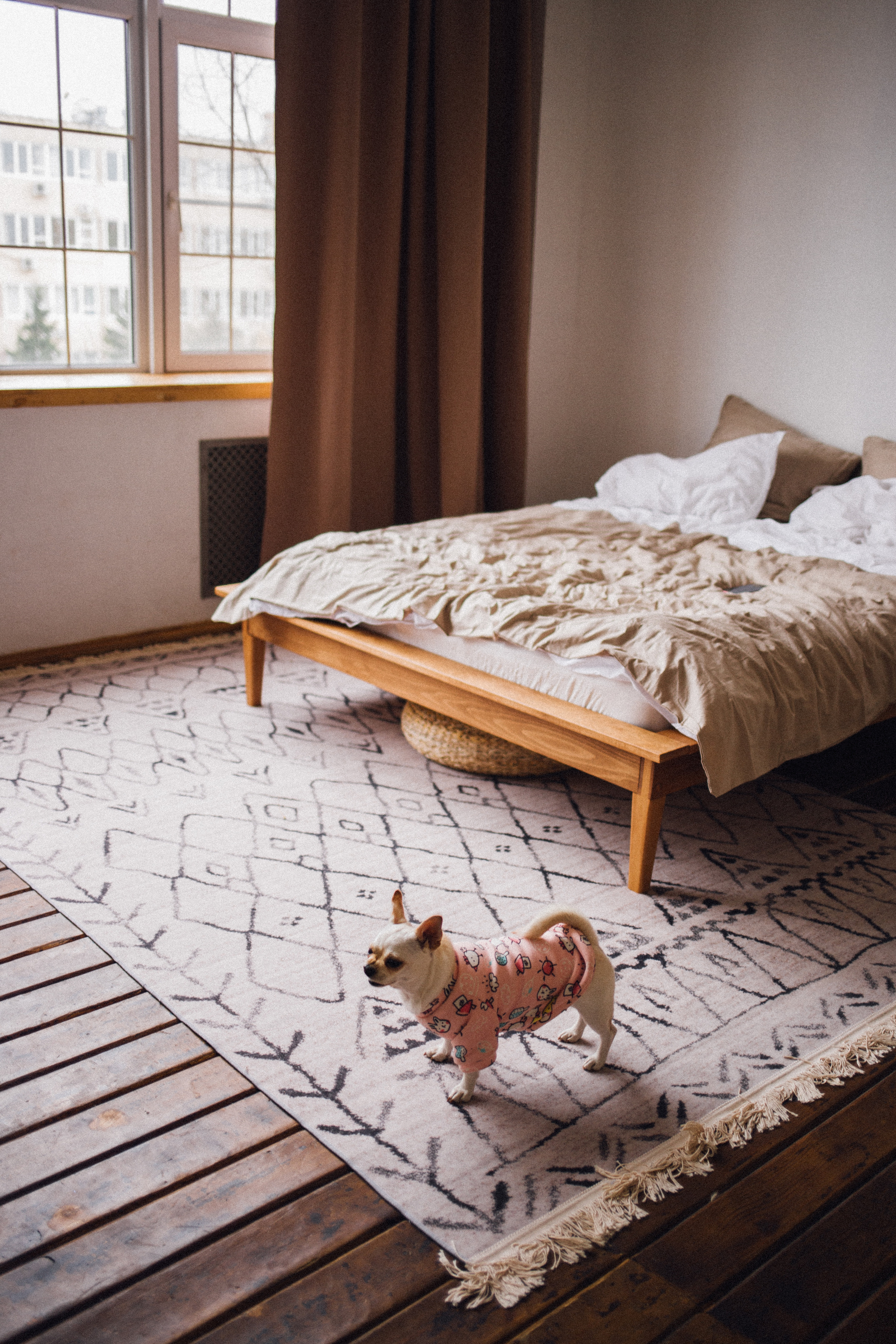 Миша, Даша и Бося. Фотограф в Волгограде Карина Хлебушкина