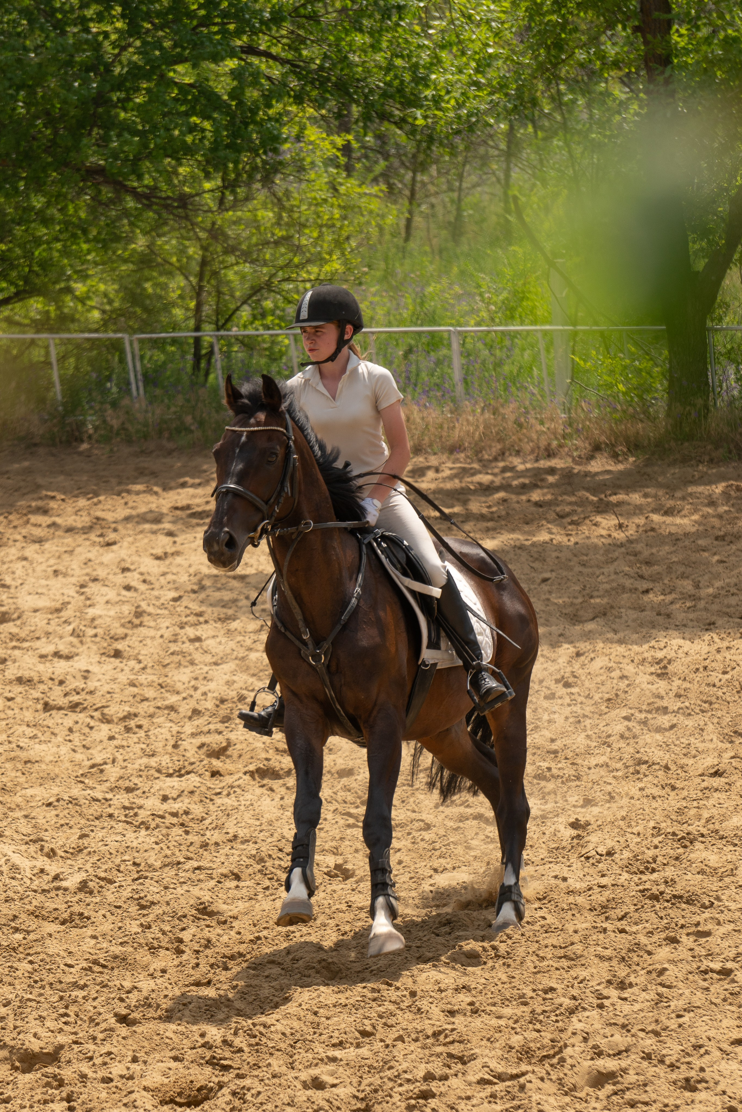 Соревнования по конкуру, Луганск. Фотограф в РФ и ЛНР Юлия Федосеева