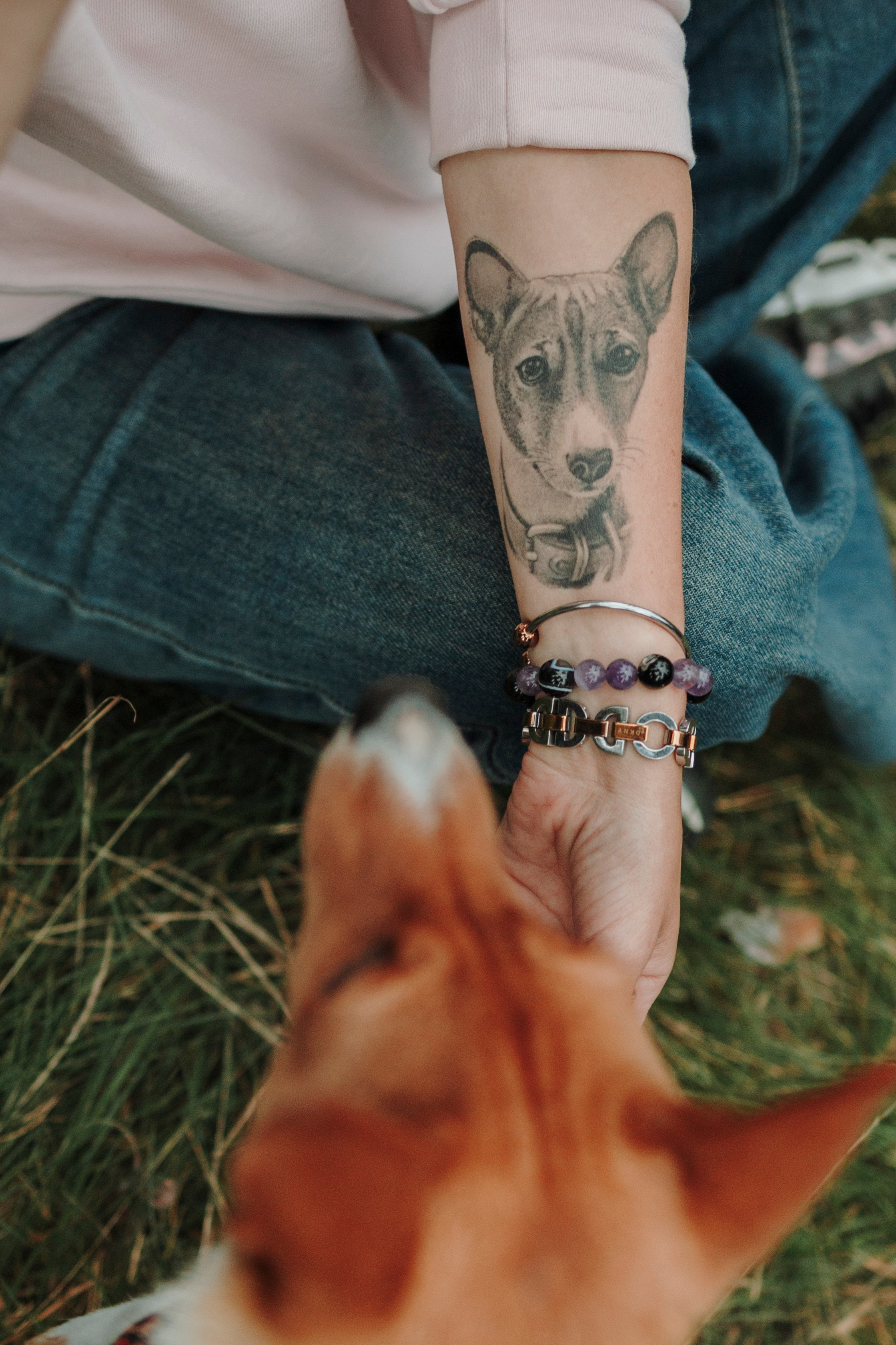 Даша и Лора. Фотограф-анималист в Санкт-Петеребурге Титова Алиса