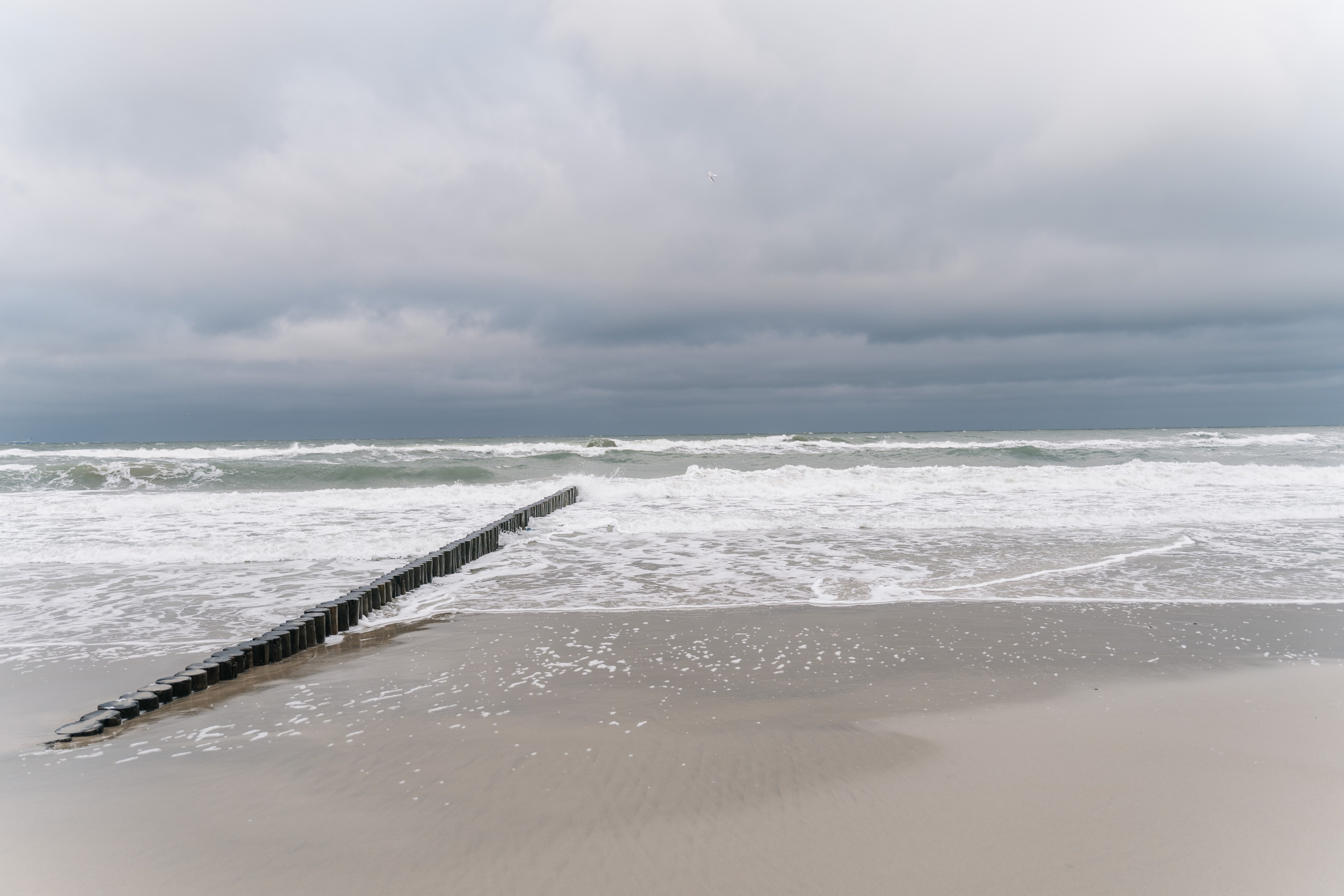 I. Семейный и свадебный фотограф Мария Нетребко г. Калининград