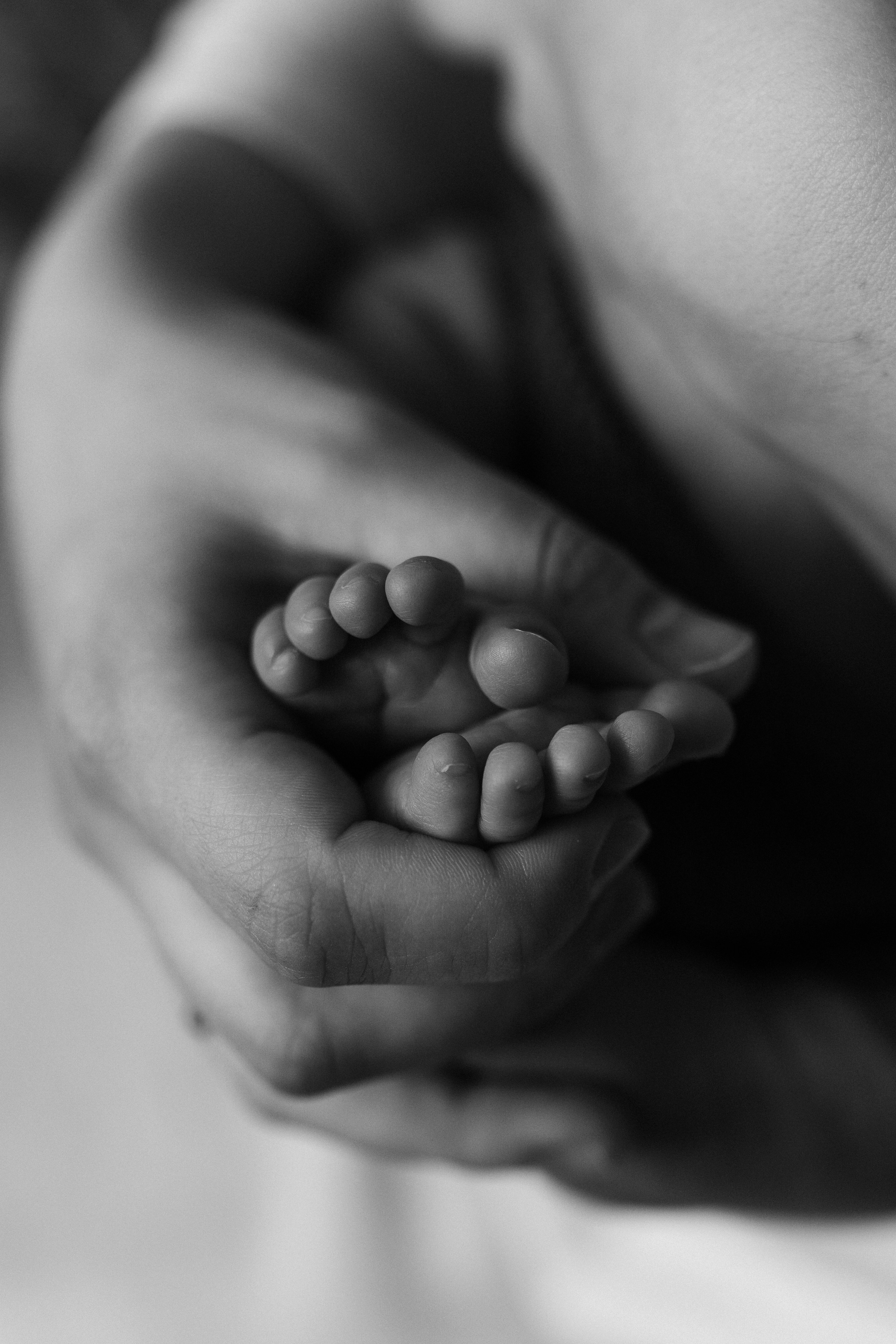 Фотосессия новорождённого Краснодар, семейный фотограф в Краснодаре Яна Морева. Семейный фотограф в Краснодаре Яна Морева