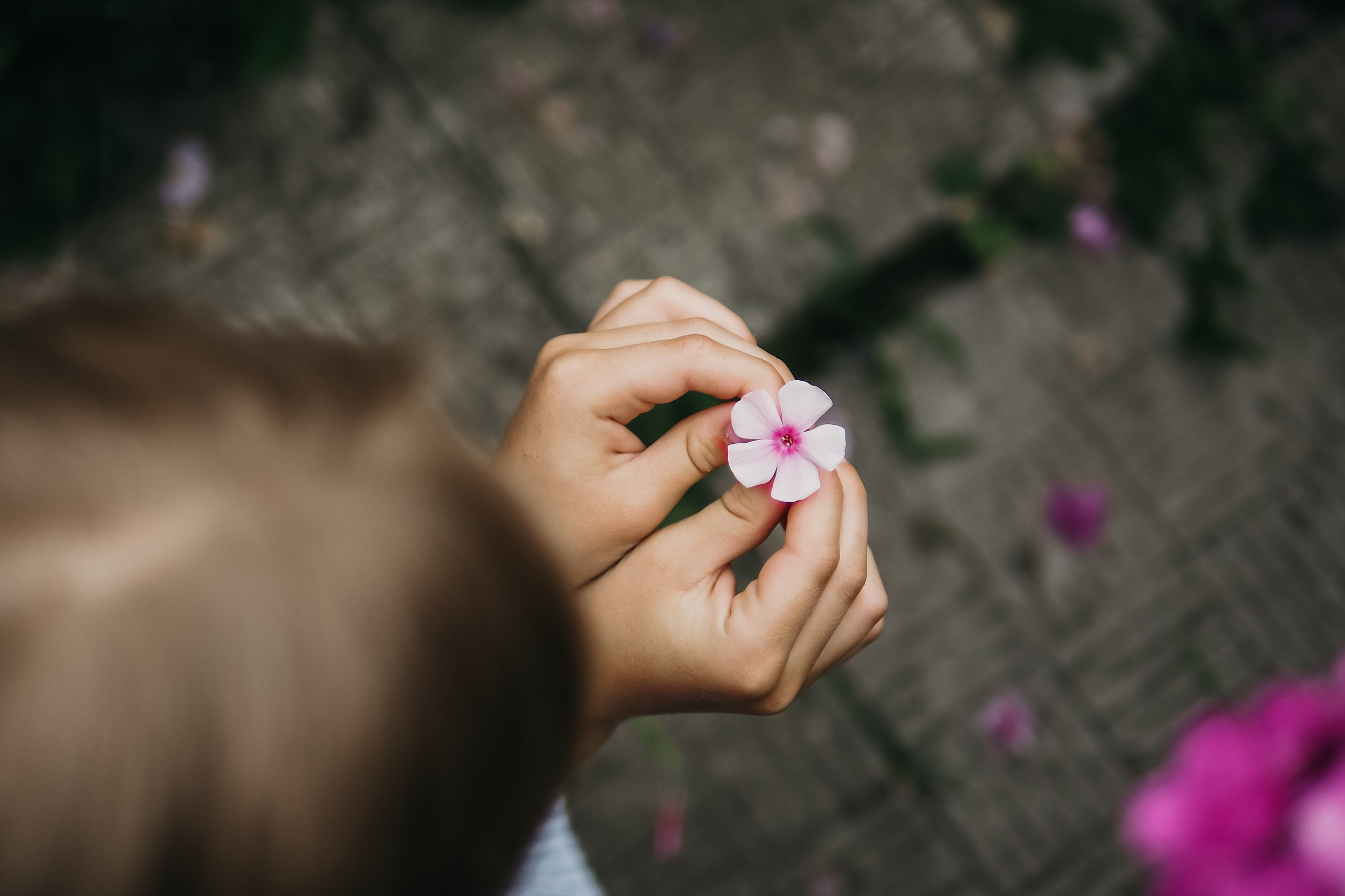 Цветная. Портретный фотограф Павлова Светлана / Брянск /