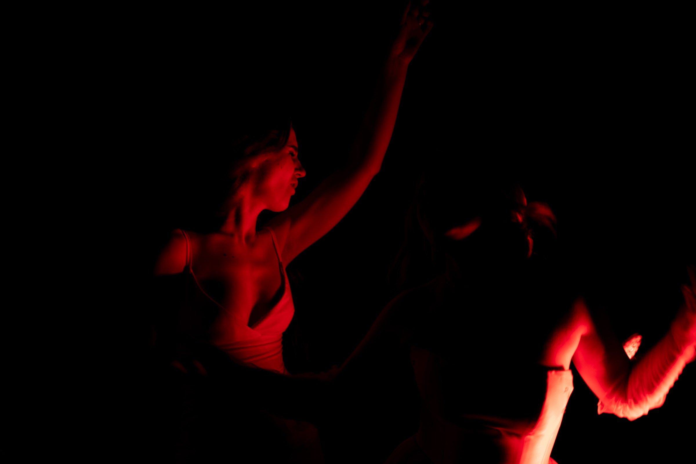 Свадьба пес и котики. Dima Lemeshevsky