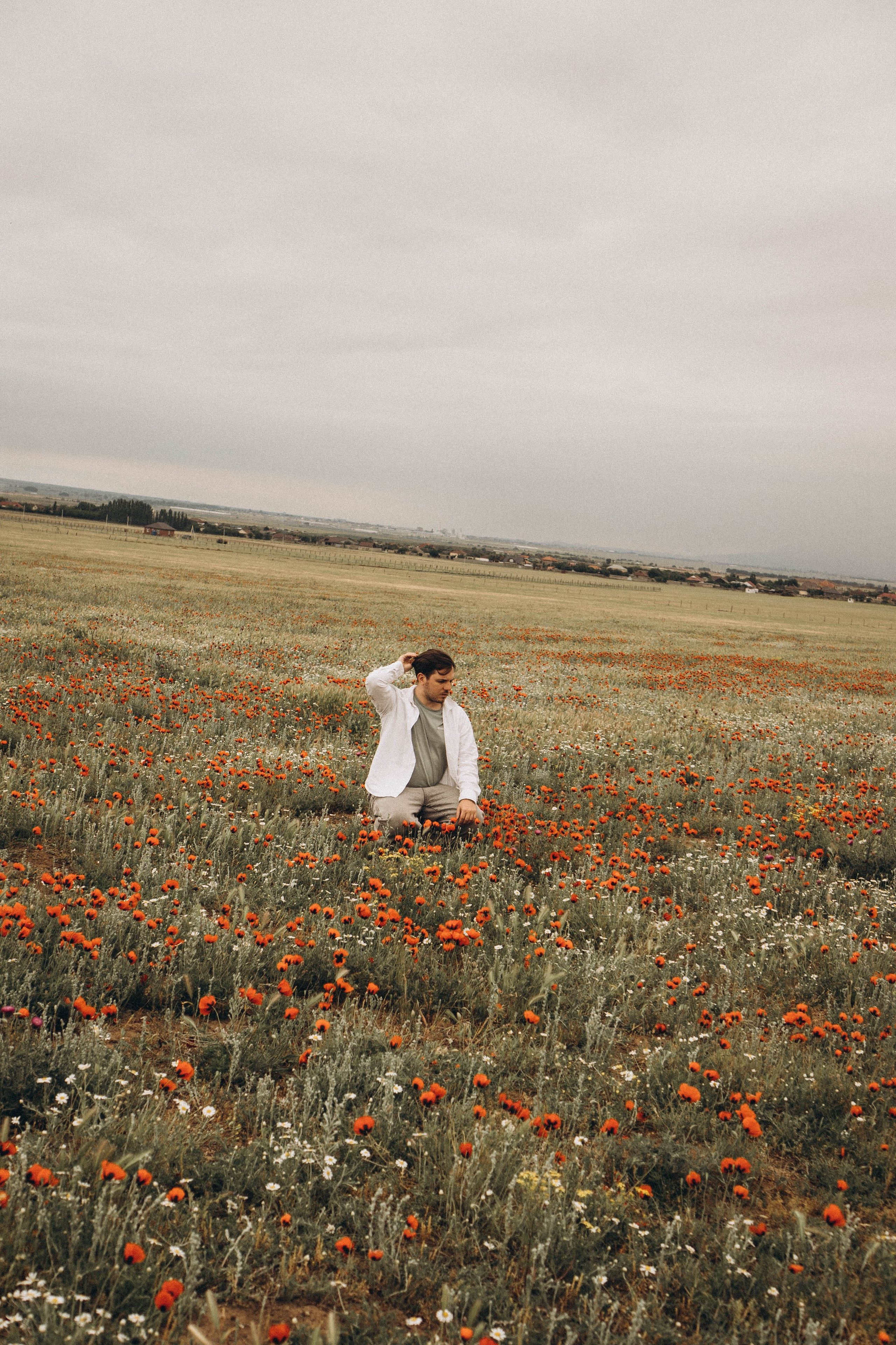 Маки. Профессиональный фотограф, Санкт-Петербург — Виктория Богомолова