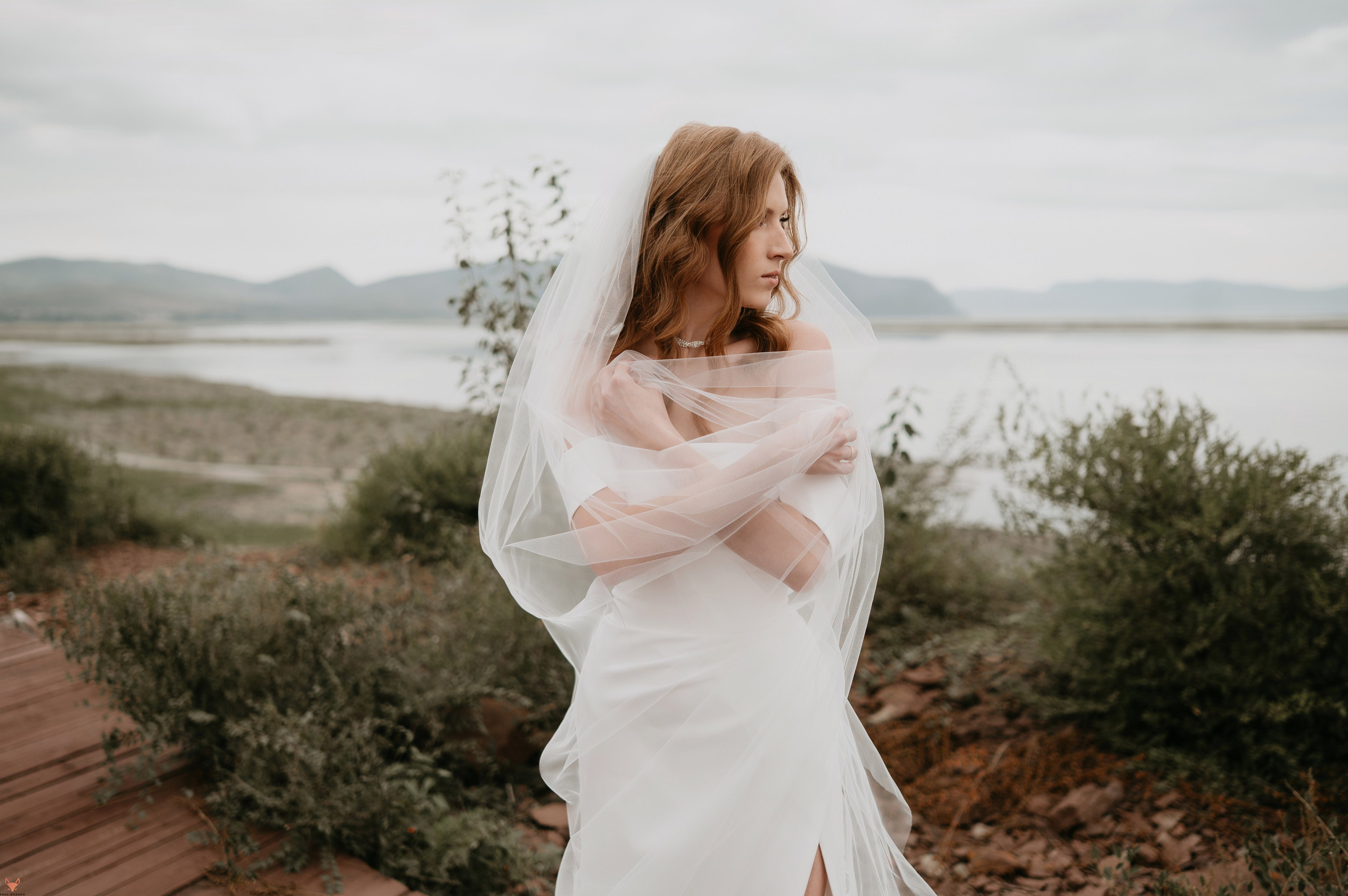 Wedding 14 09 24. Свадебный Фотограф Абакан