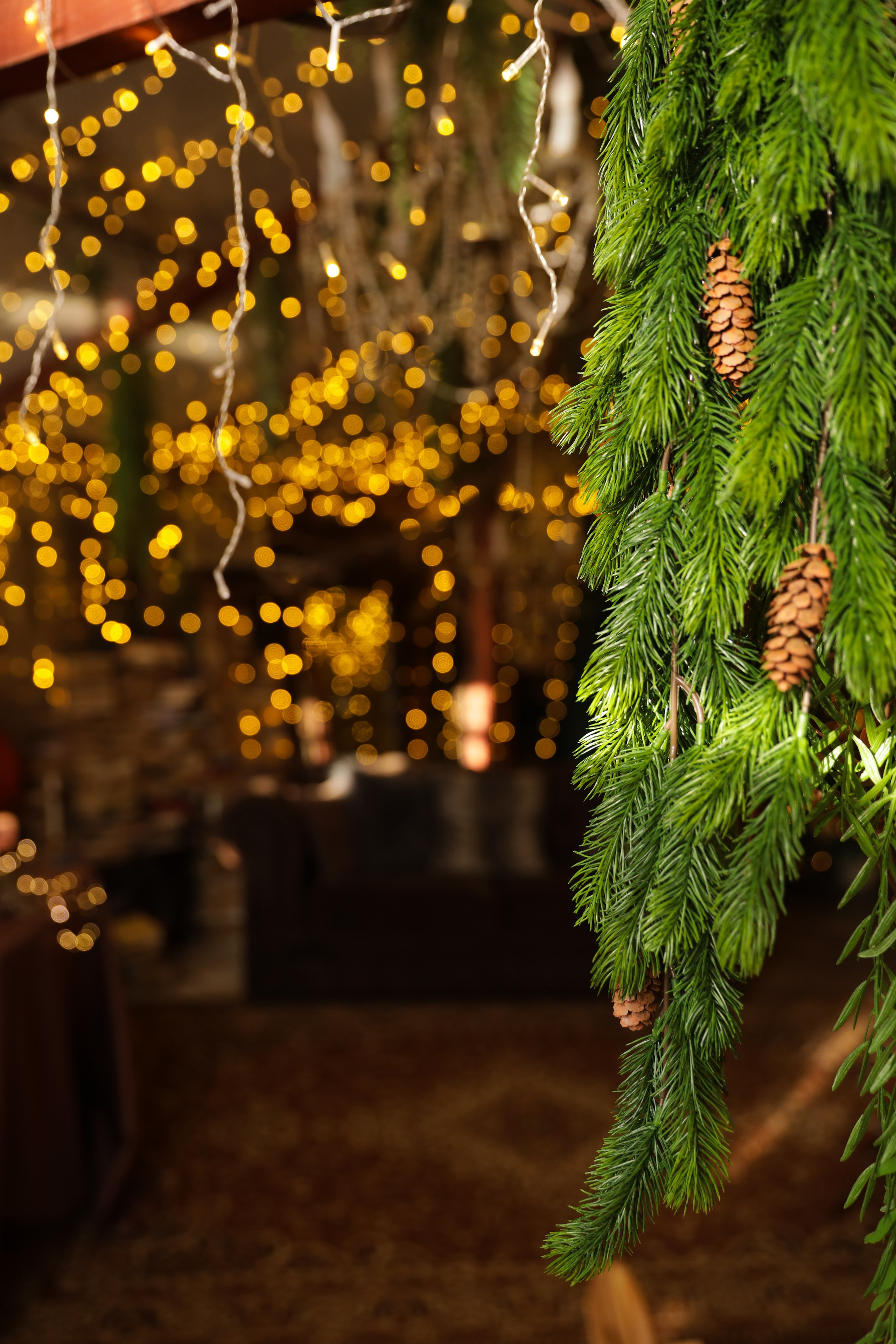 Фотостудия «Роял» зал Теплица. Свадебный фотограф в Ростове Александра Груздева