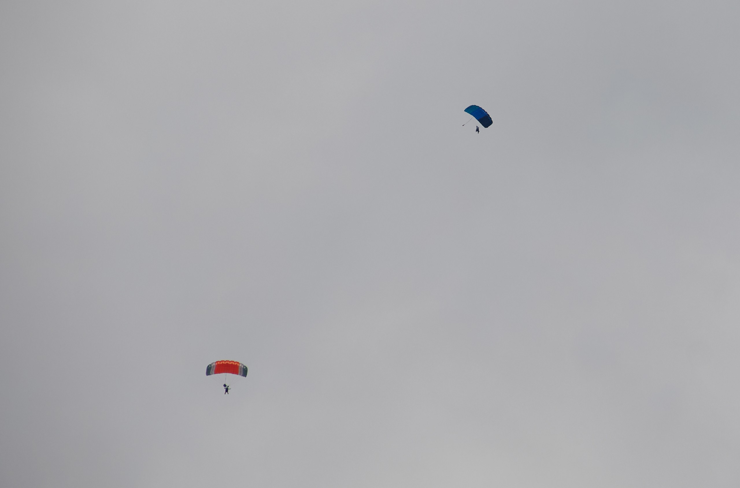 Аэроклуб SkyLine. Фотограф в Смоленске Ася Польшина