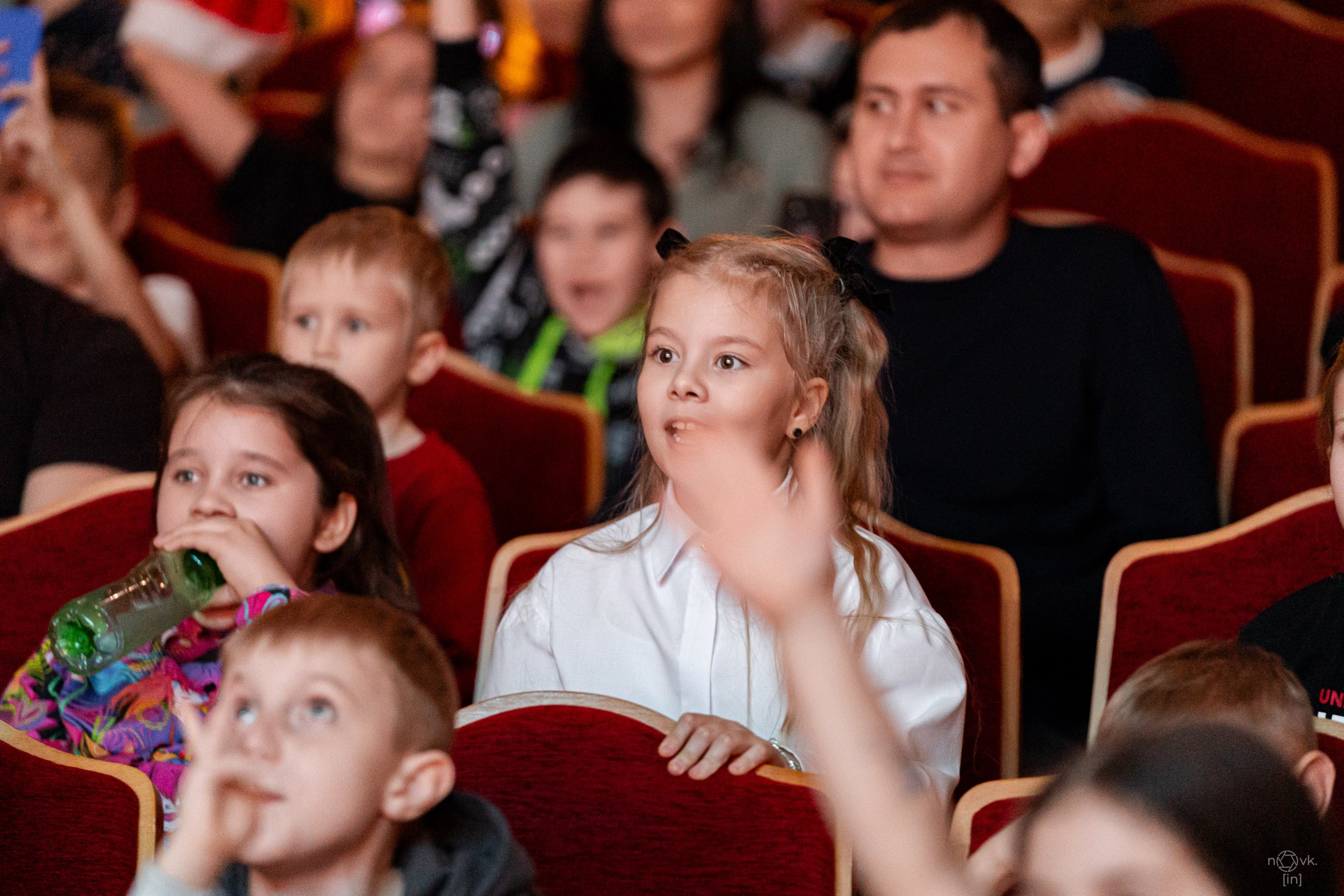 Ёлка. ФОТОГРАФ ИВАН НОВИКОВ | СТАВРОПОЛЬ