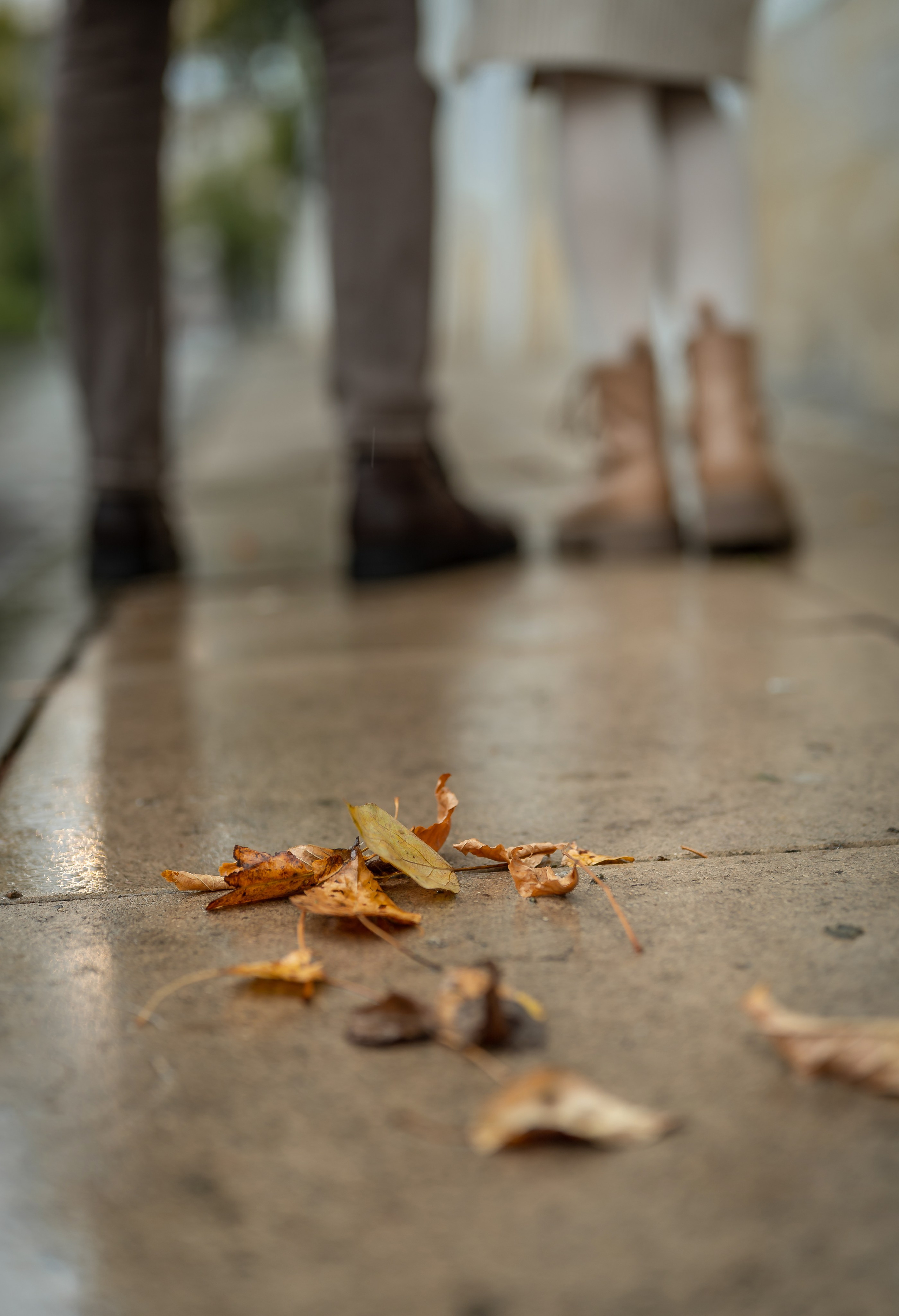 Валерия и Максим. Фотограф Алиса Канцибер. Москва. Портрет, семейное фото, свадьбы