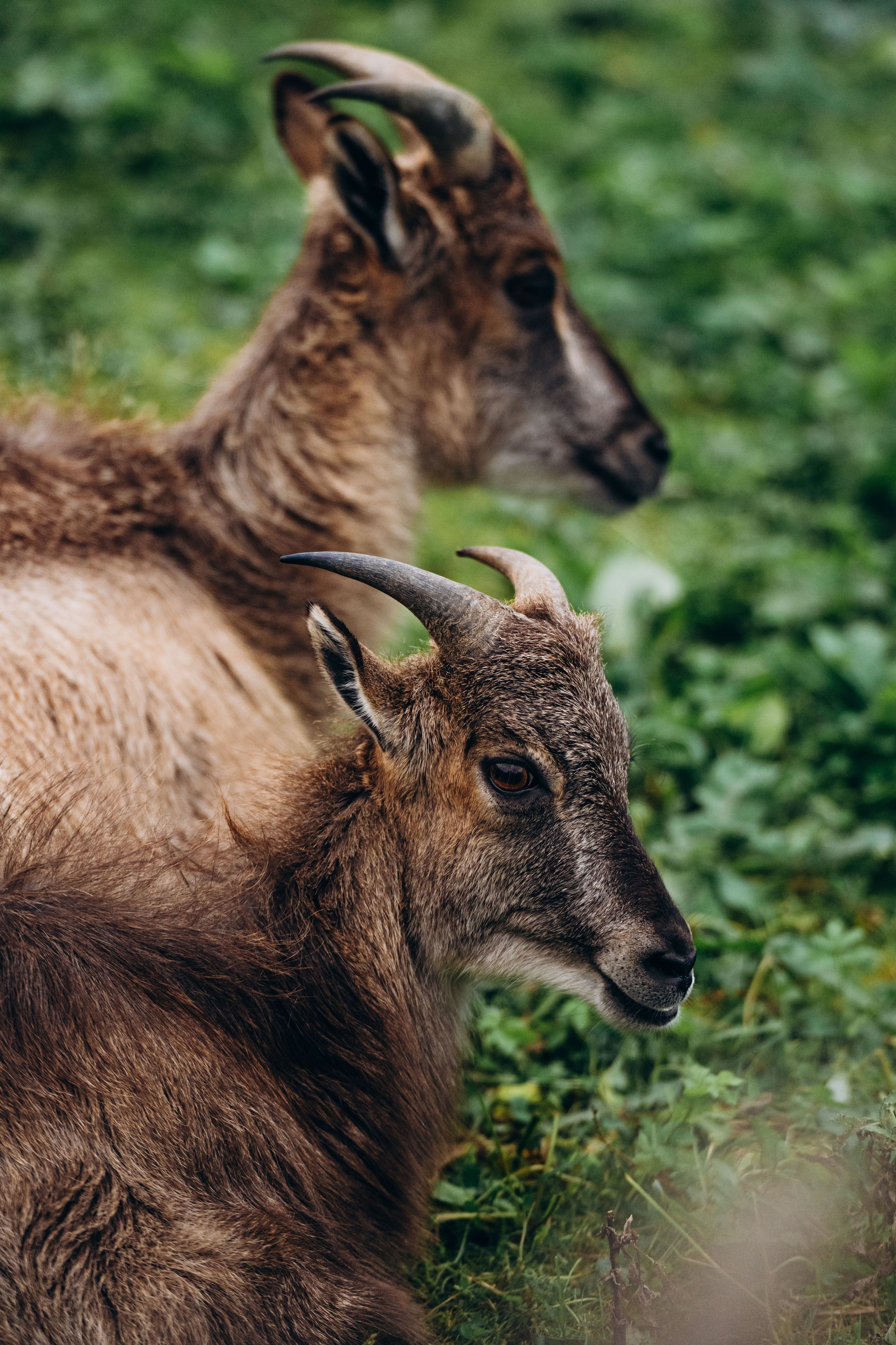 СЕВЕР. Event фотограф Степанова Александра