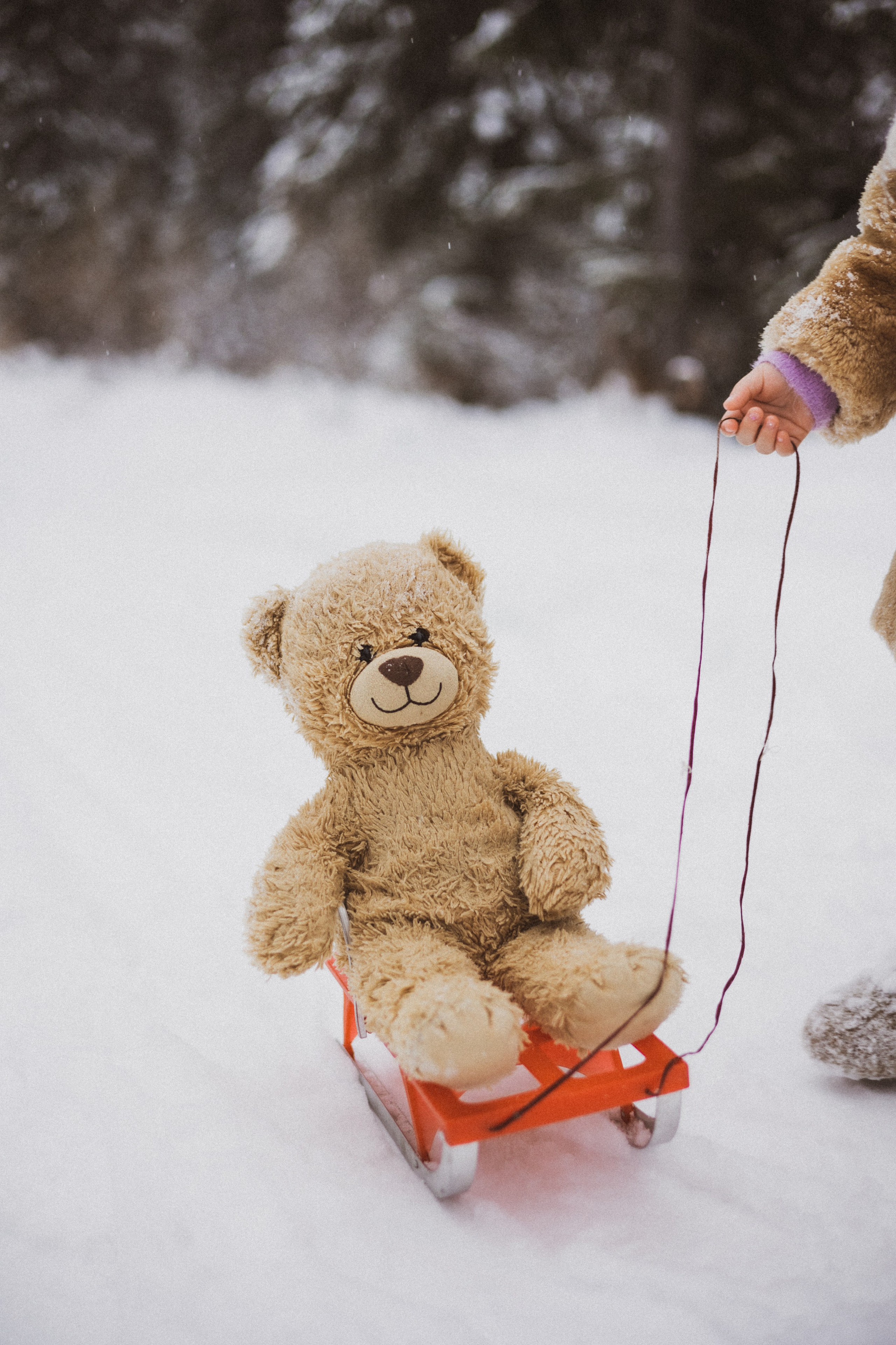 Назад в СССР. Фотограф Харп Лабытнанги