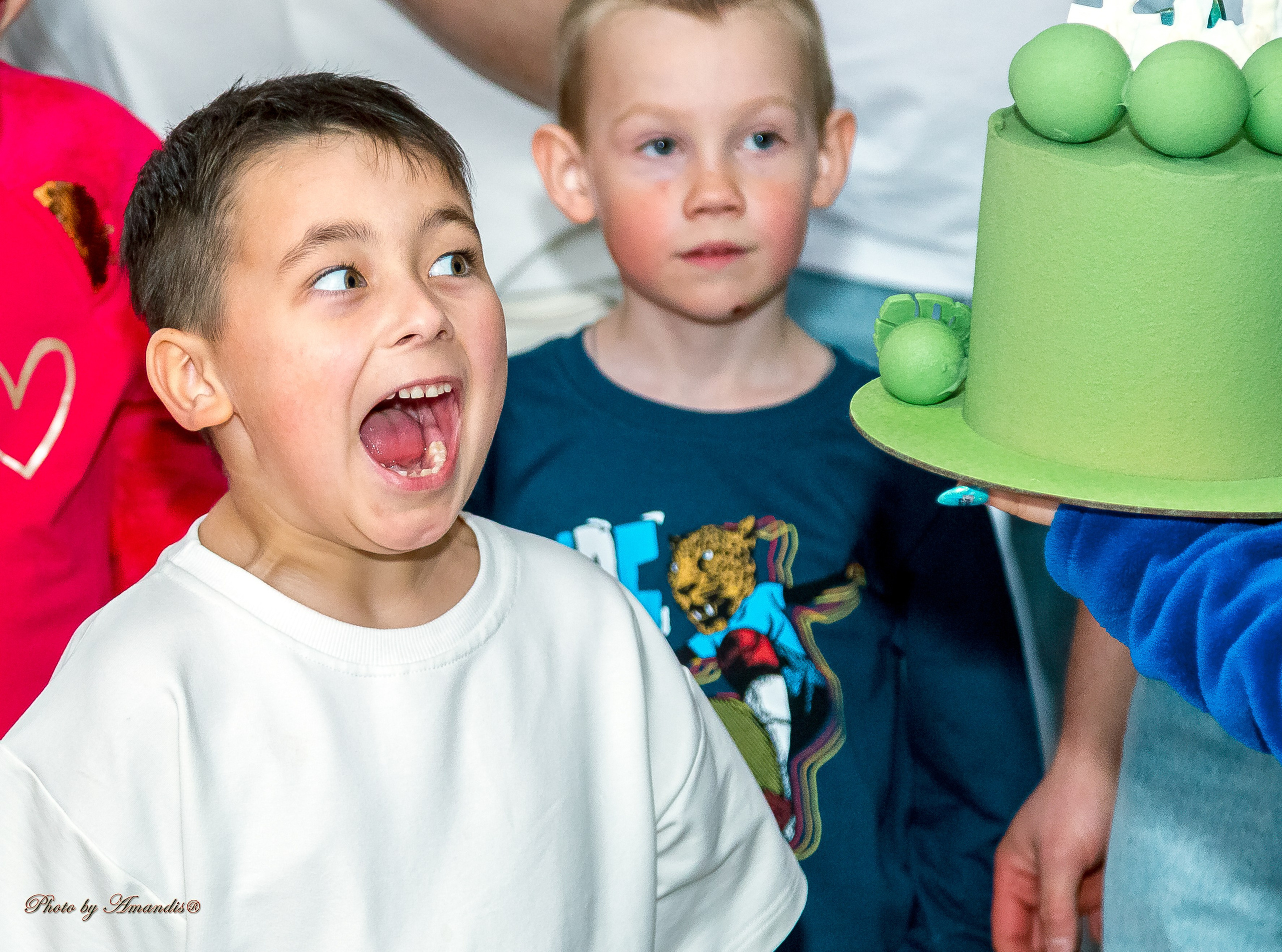 День рождения Лёвы (6 лет). Репортажная съемка в Москве и области. Анималистика