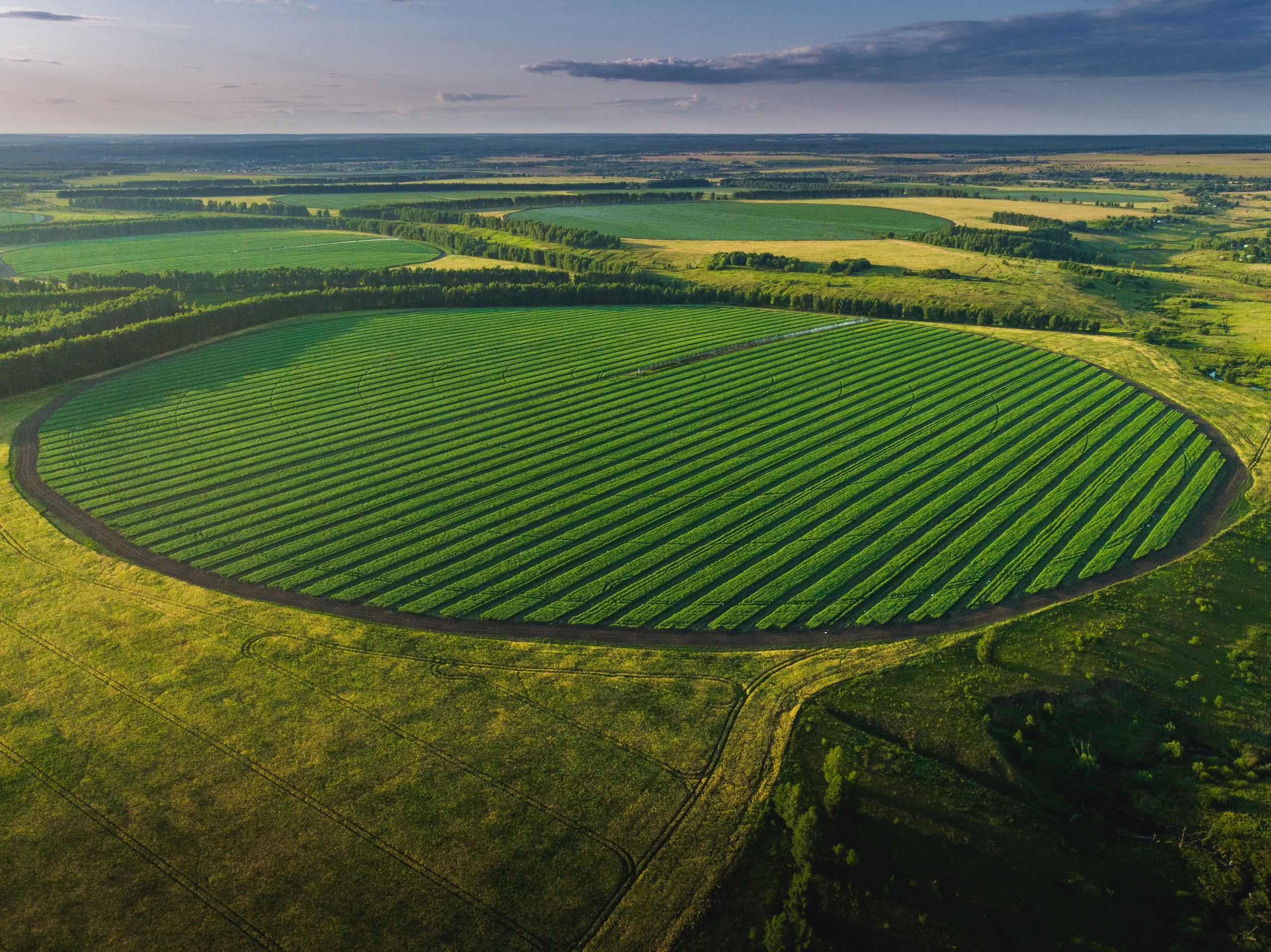 Селиваново. Николай Брытков — фотограф в Туле