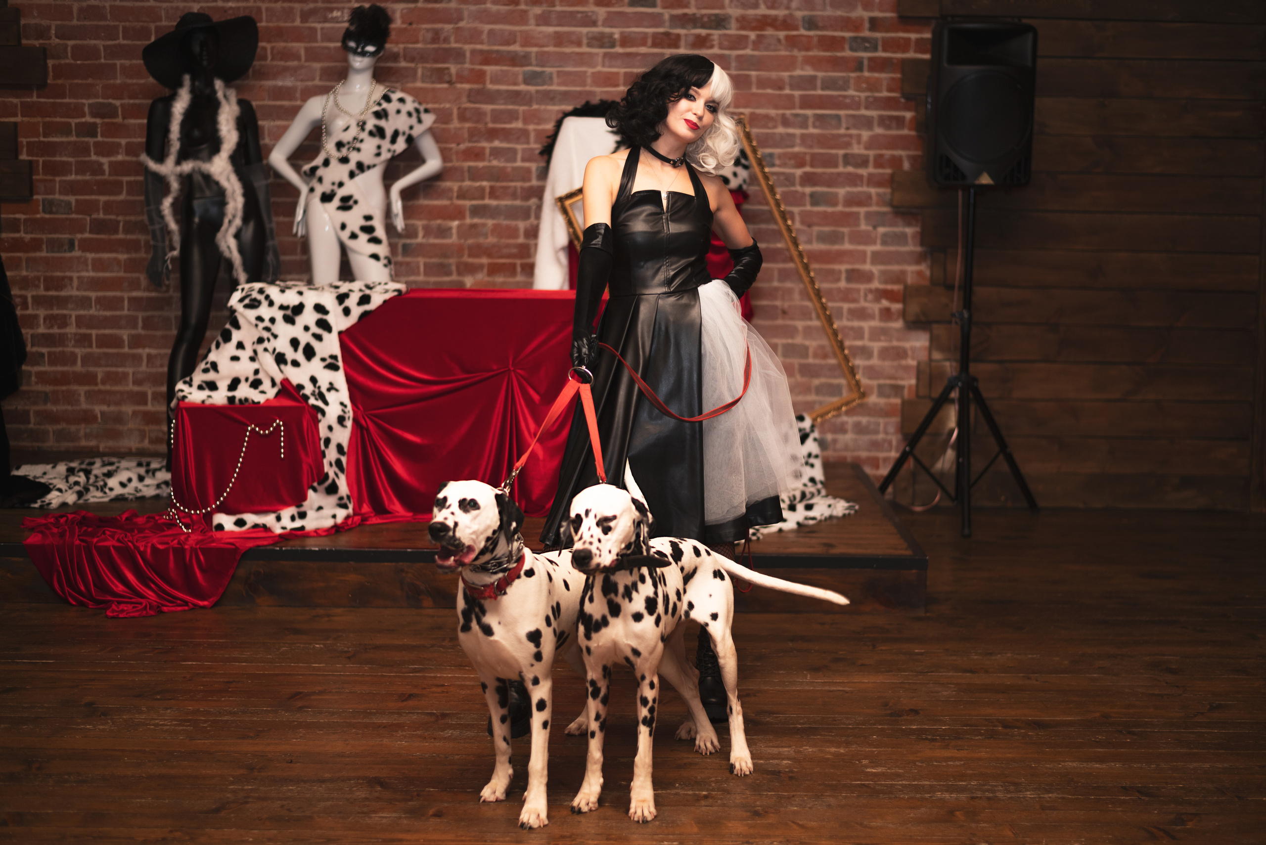 Event. Event photographer from Moscow