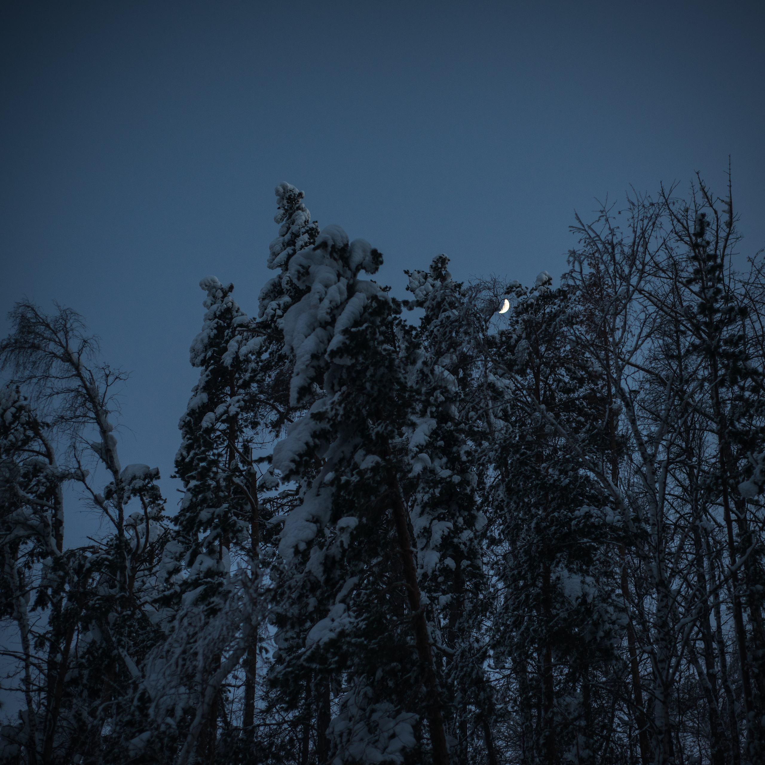 Sky full of stars. Фотограф в Санкт-Петербурге Мария Мельникова