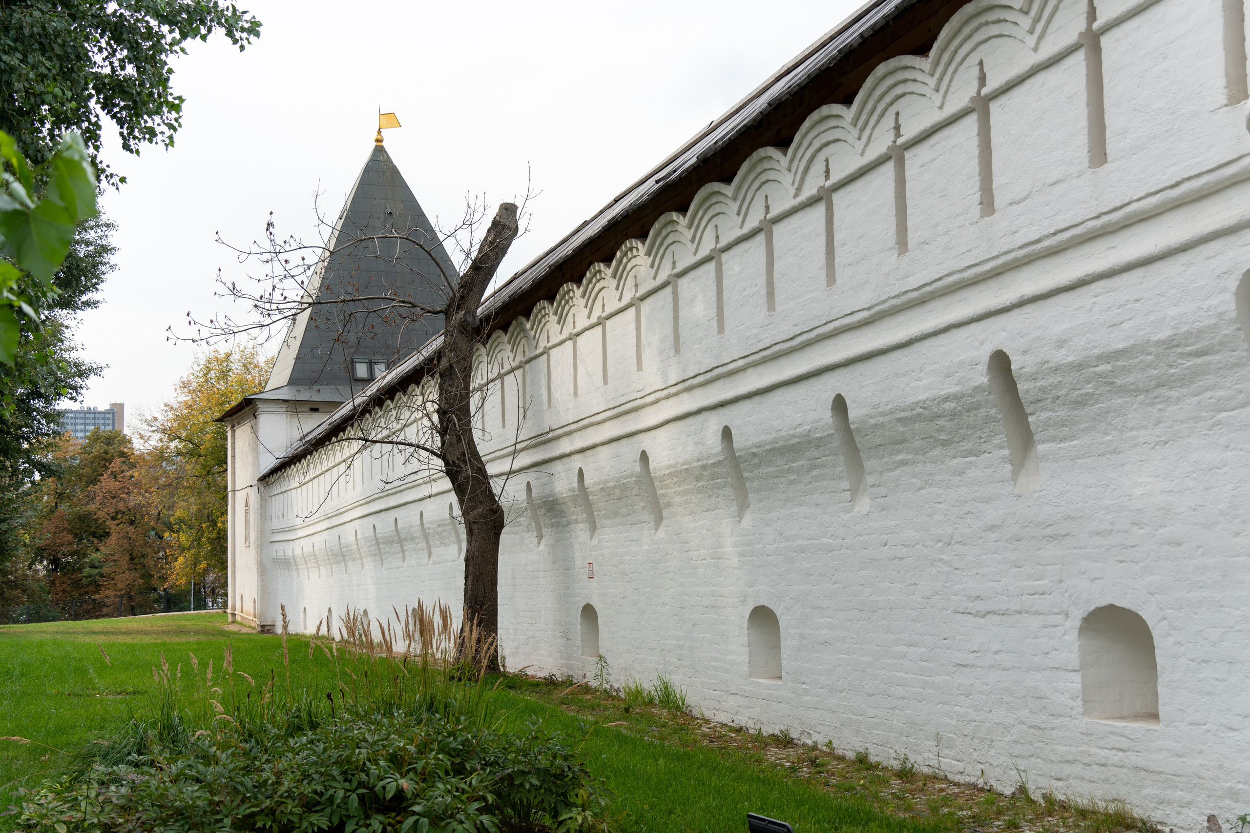 20250921 Таганка-Курская. Дмитрий Ремизов. Фотография, как хобби