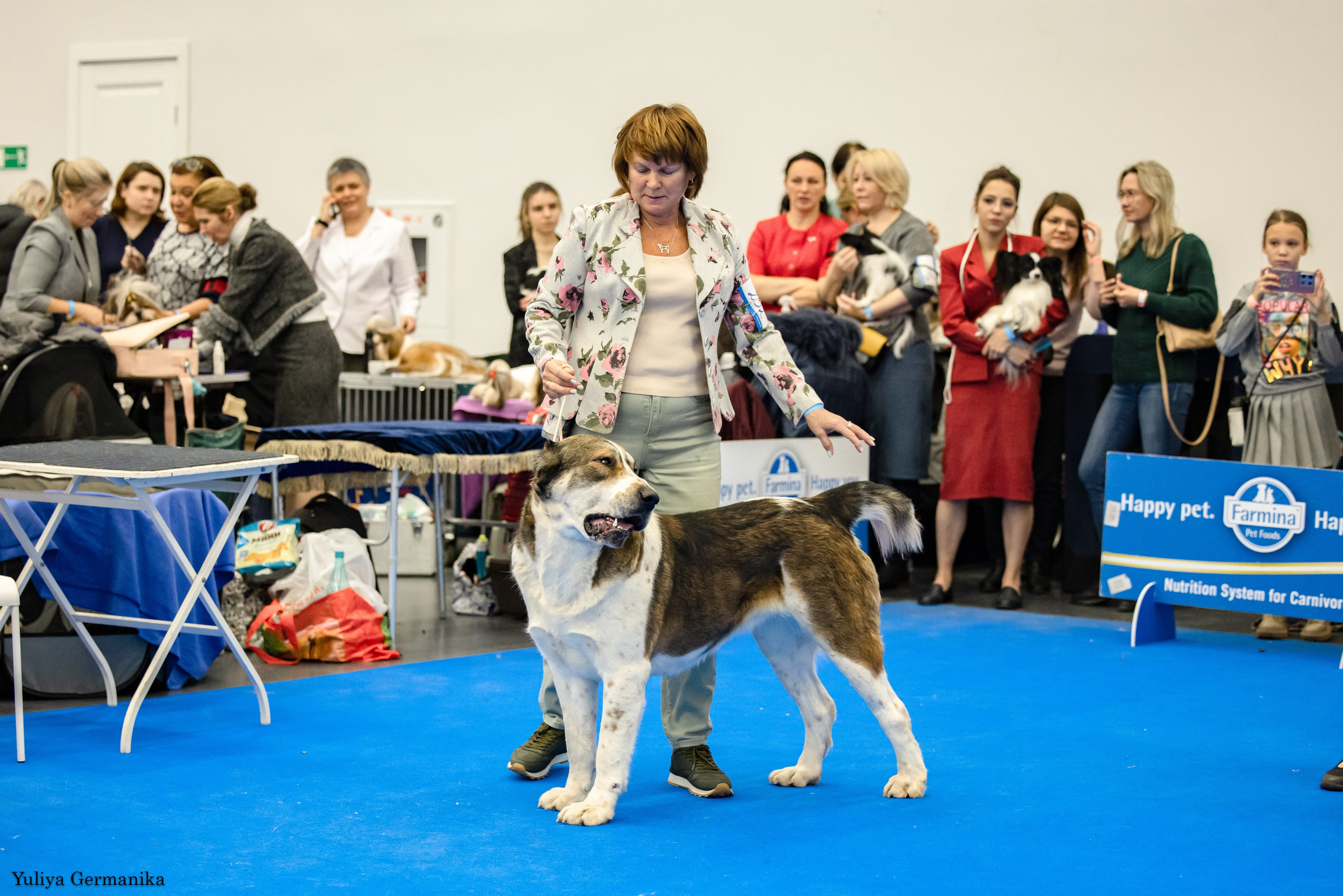 Нижний Новгород 21-22.10.2023. Фотограф-анималист Юлия Германика