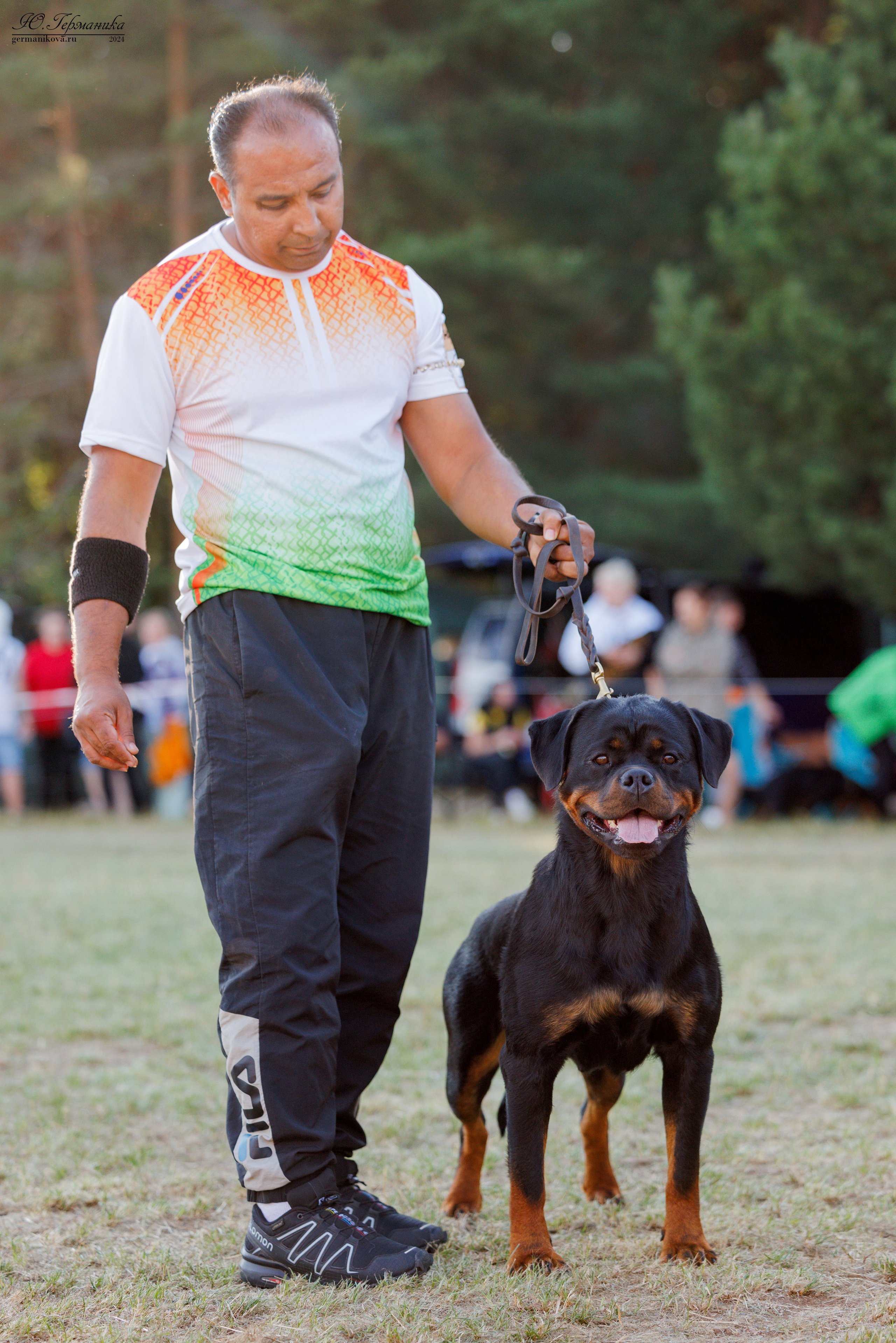 ПК и КЧК ротвейлеры Тверь 6-7.07.2024. Фотограф-анималист Юлия Германика