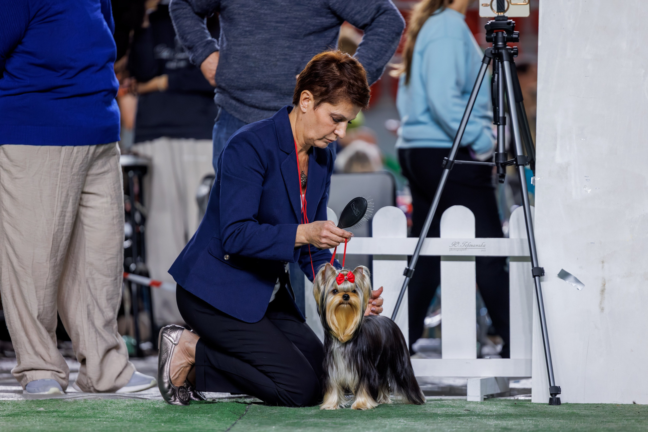 Телави 11-12.10.2025. Фотограф-анималист Юлия Германика