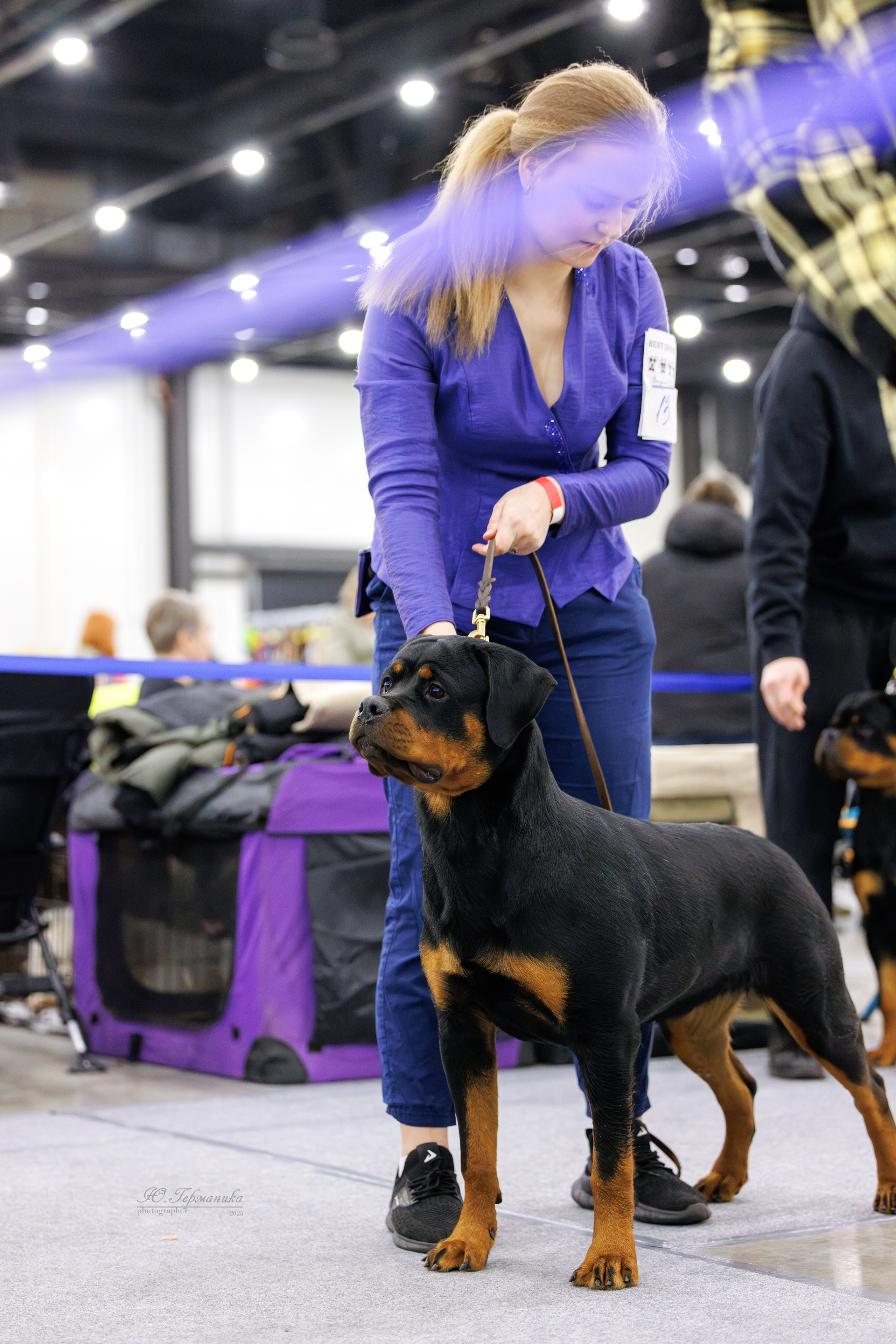 Питер 12-13.12.2025. Фотограф-анималист Юлия Германика