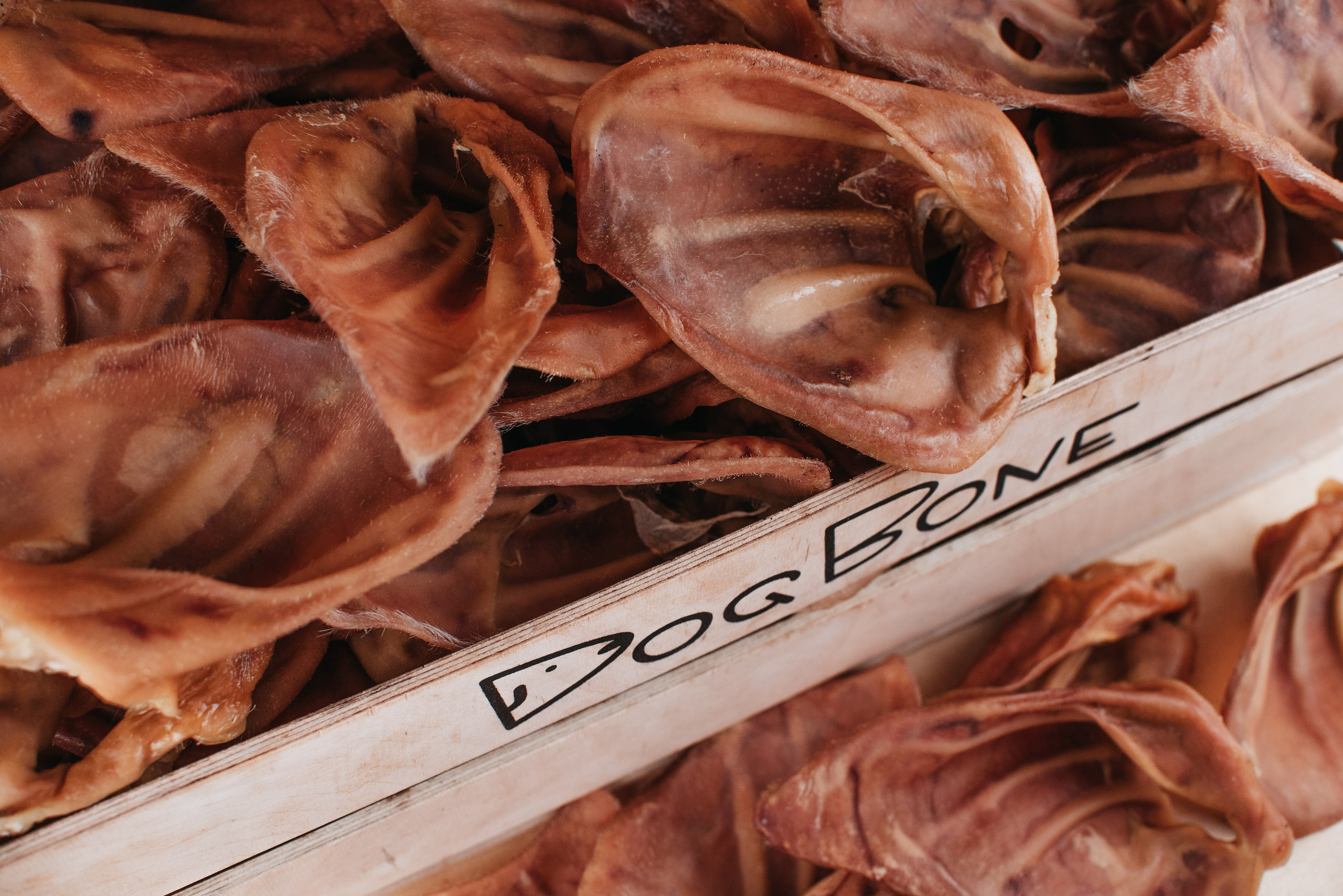 Dog Bone лакомства. Фотограф-анималист Валерия, Москва, Мытищи