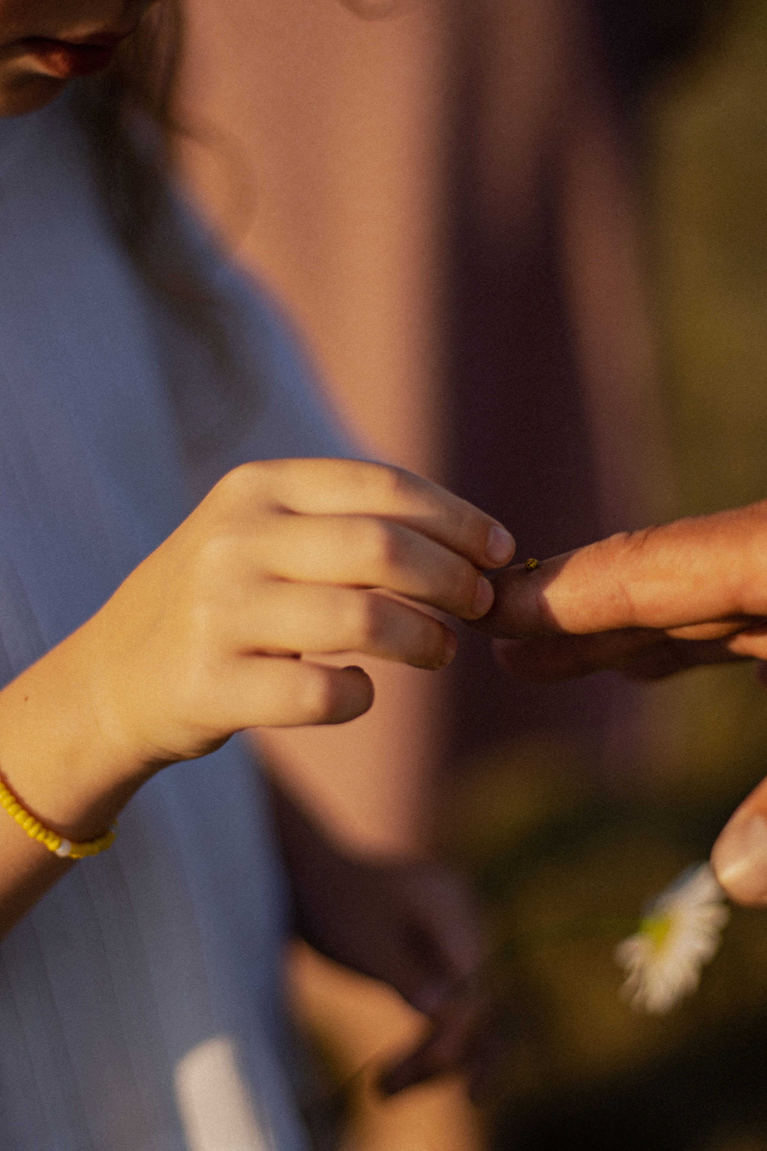 Шершни. Свадебный фотограф Челябинск