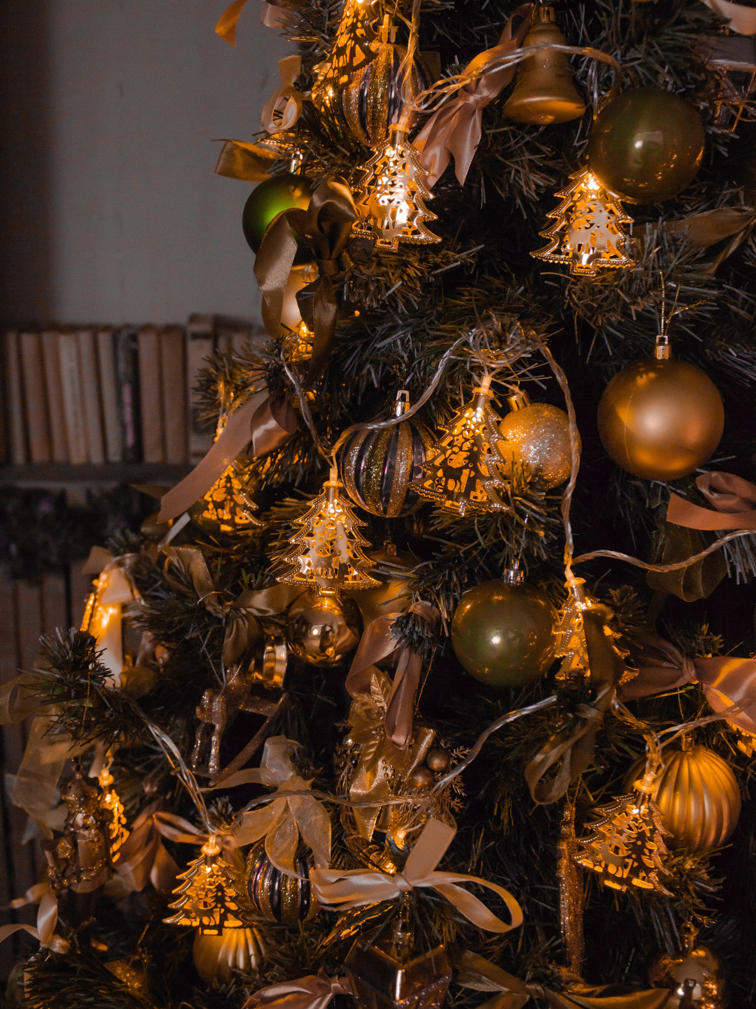 WILDBERRIES. ФОТОГРАФ АЛИНА ФОКА