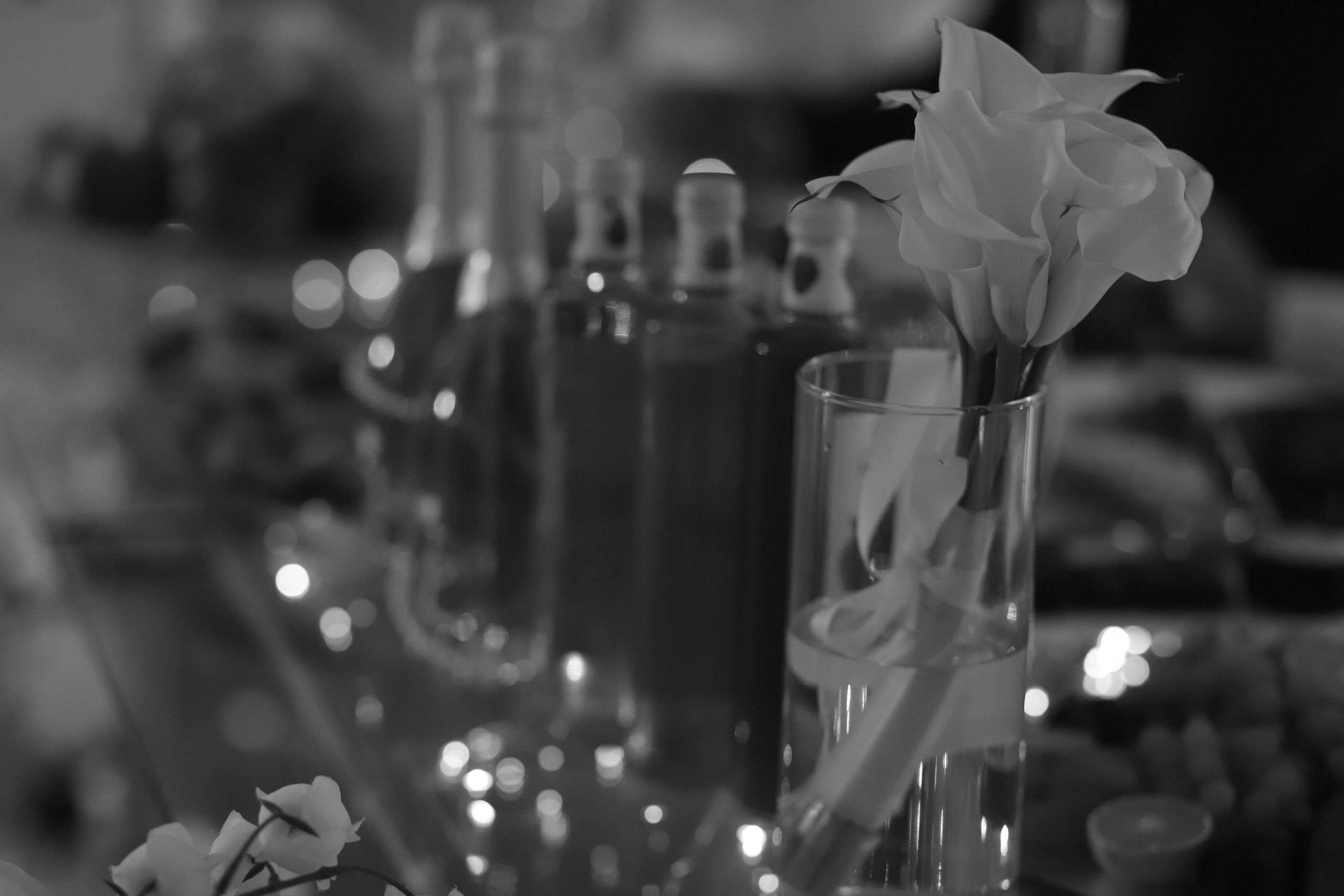 Константин и Елизавета 29/10/2023. Свадебный  и семейный фотограф в Краснодаре