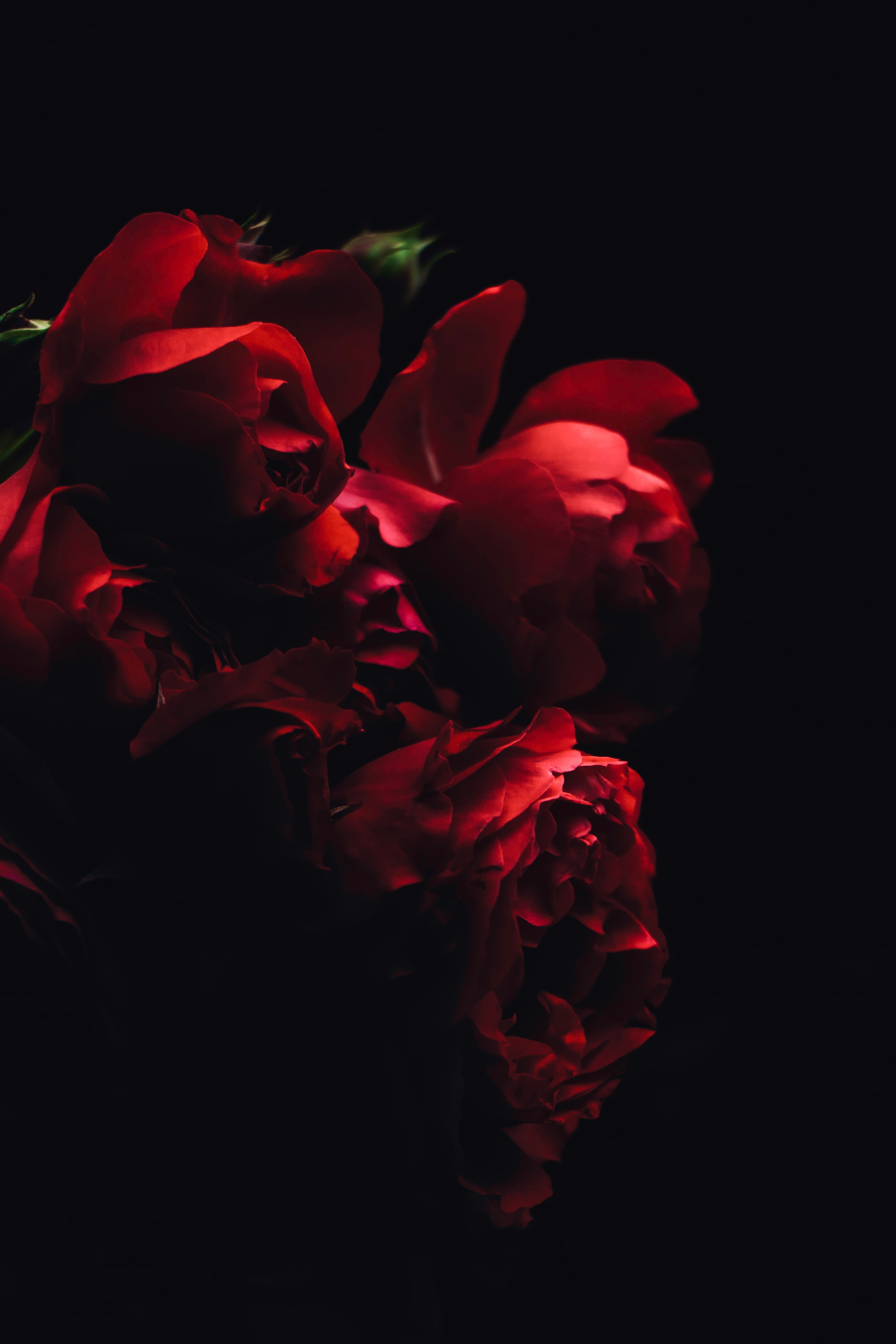 Пейзажи и прочее