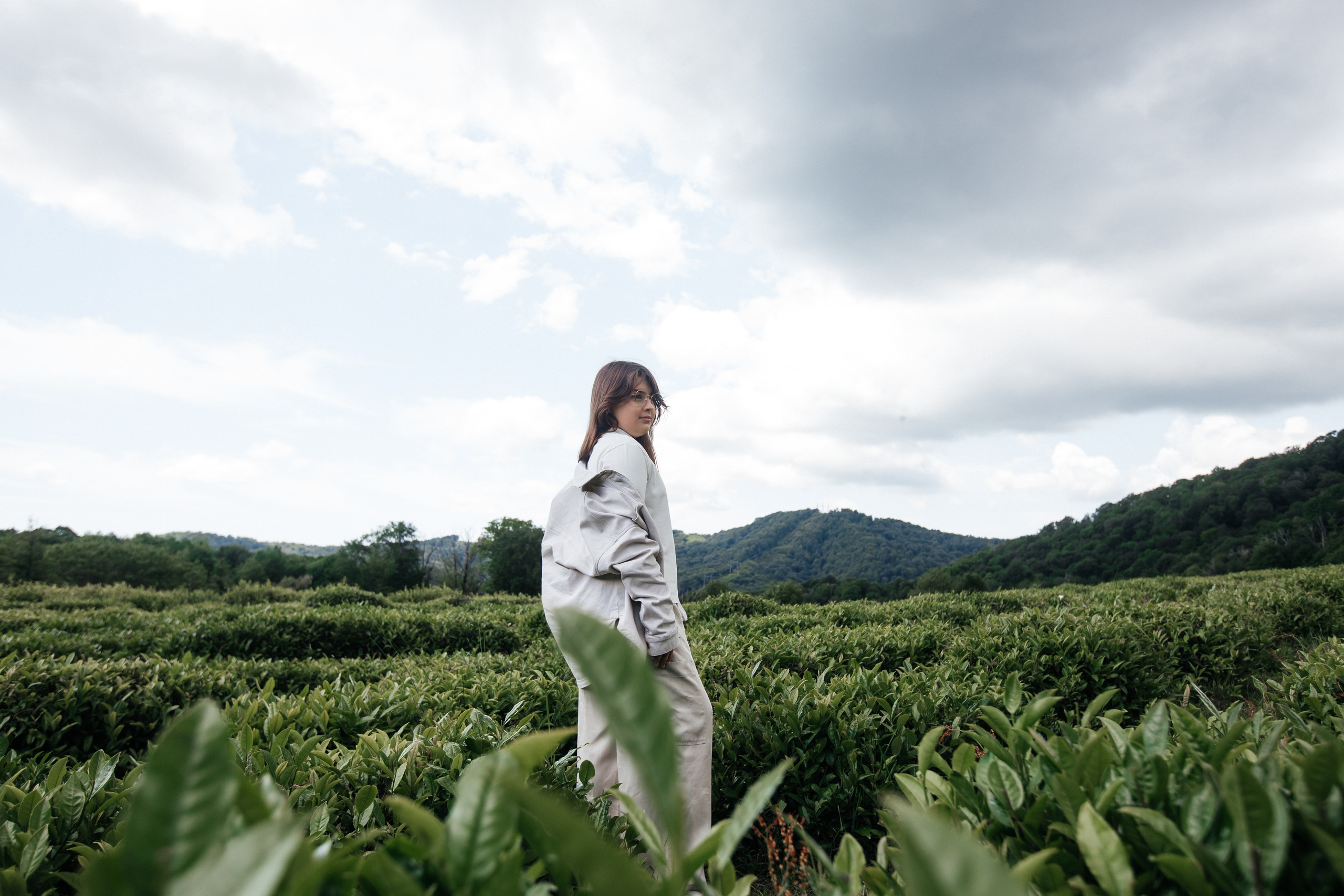 Tea plantation. Efimova Model Agency