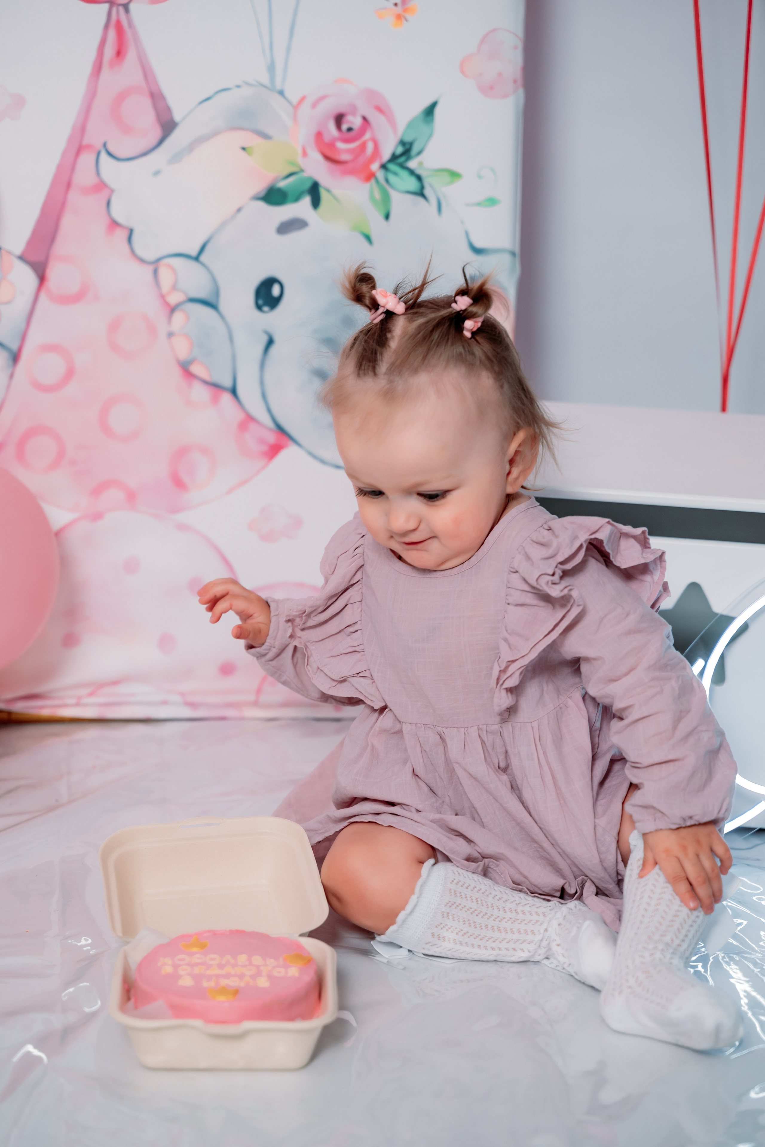 Годовасие. Фотограф Алёна Царькова. Киселевск