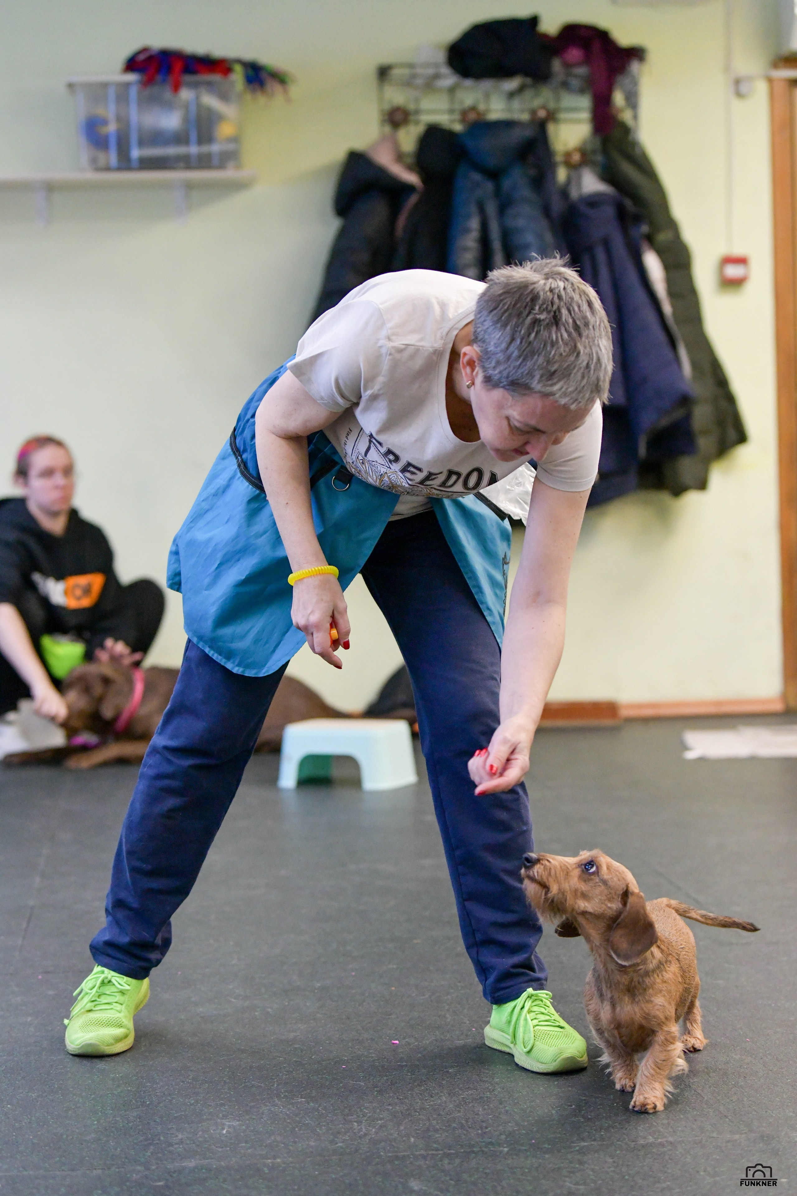 Кинологический клуб «Бодрый хвост». Свой взгляд через объектив