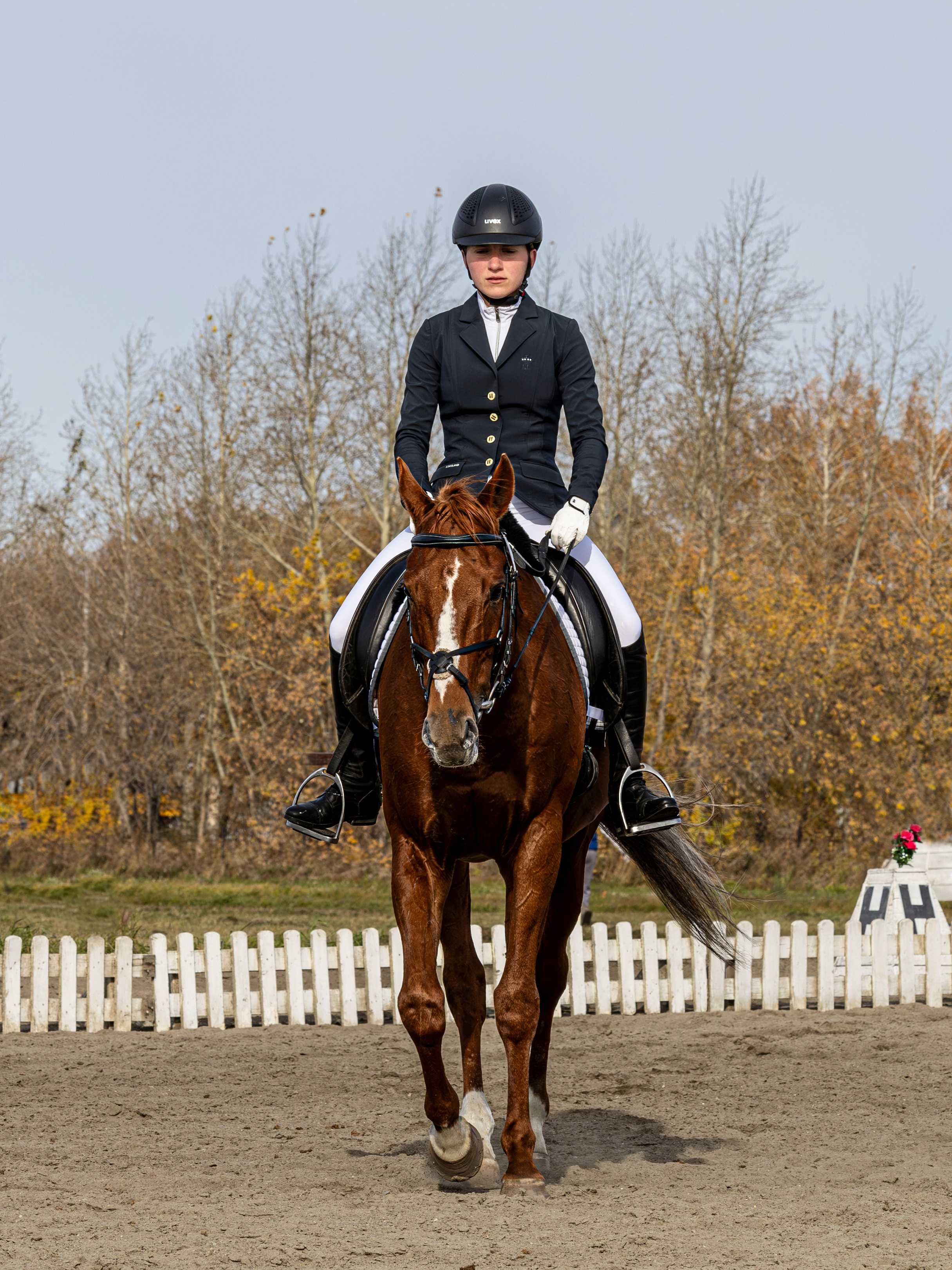 Конкур. Bertran Ordo